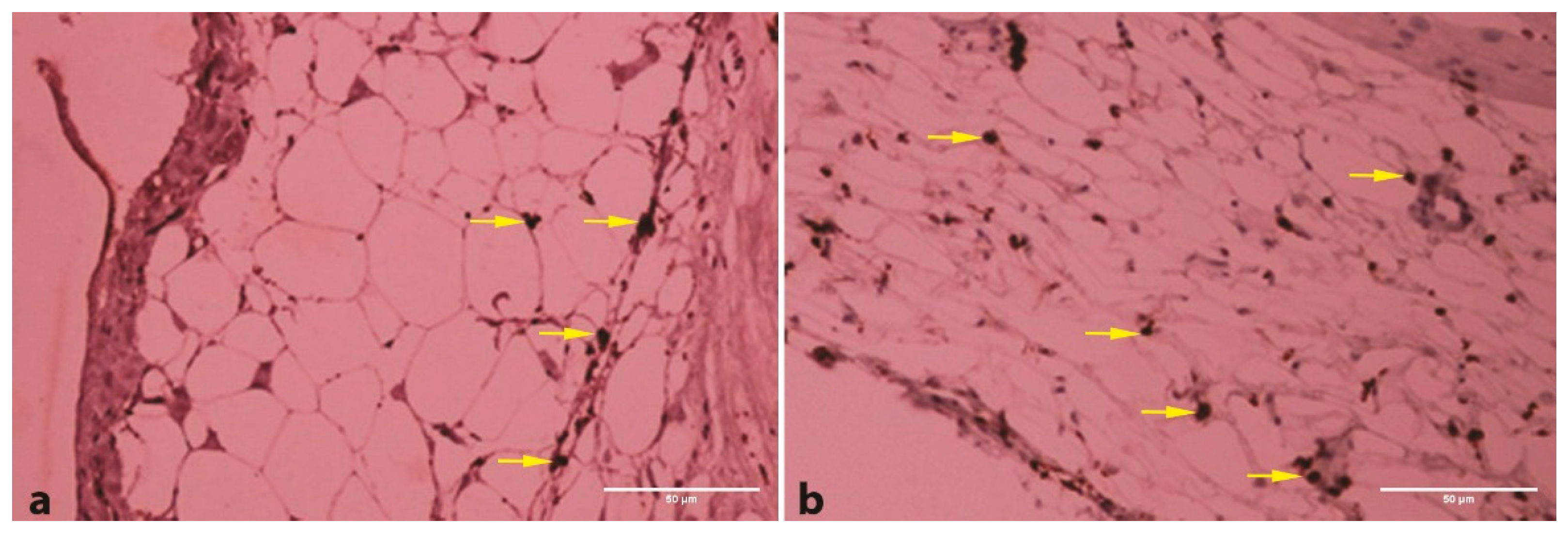 Applsci 10 05871 g001 Applsci 10 05871 g001