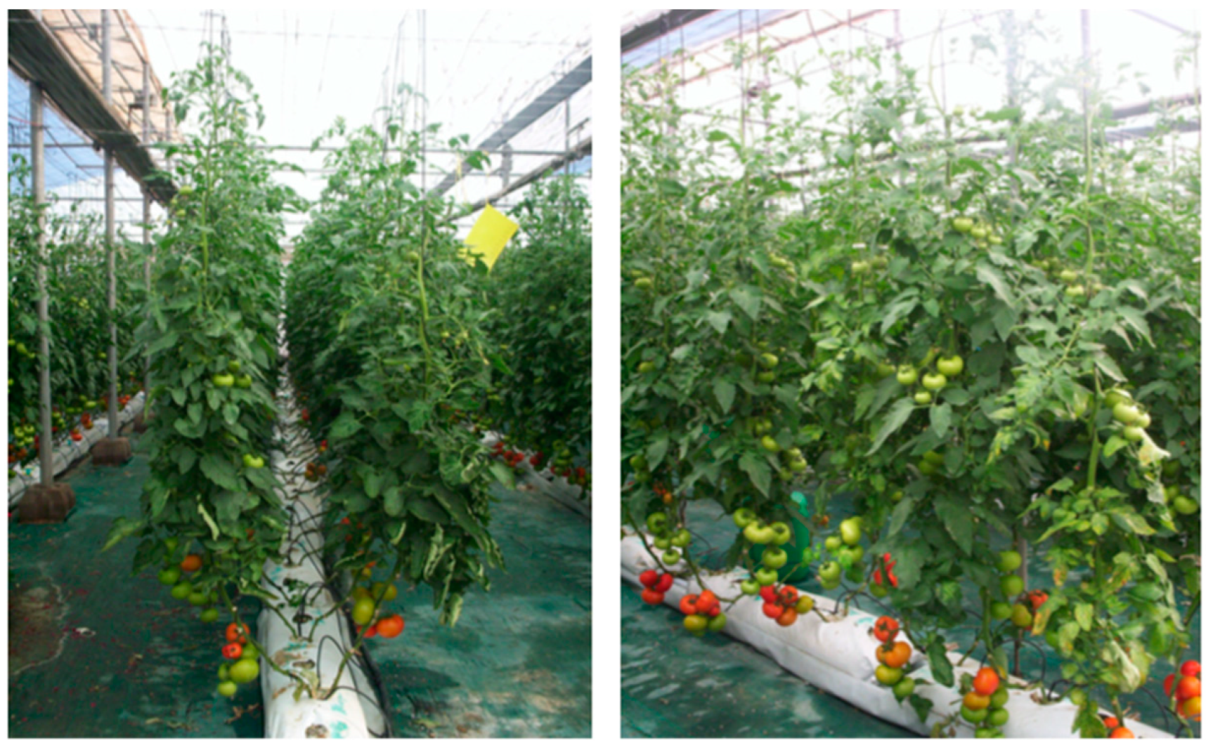 Applsci 10 05887 g003 Applsci 10 05887 g003