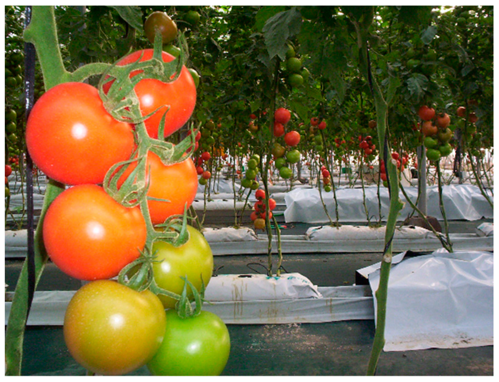 Applsci 10 05887 g004 Applsci 10 05887 g004