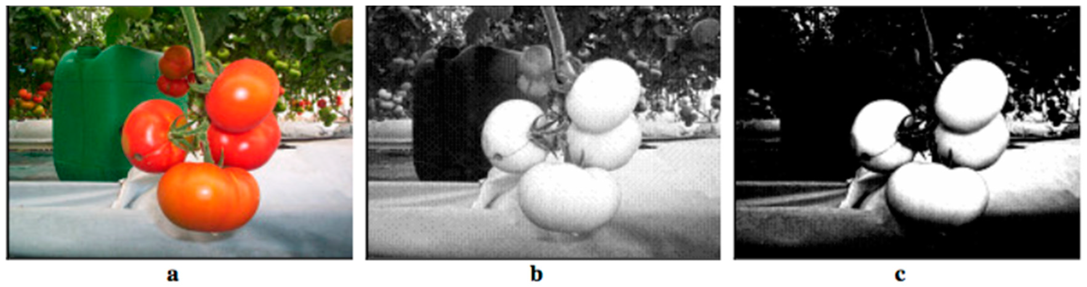 Applsci 10 05887 g006 Applsci 10 05887 g006