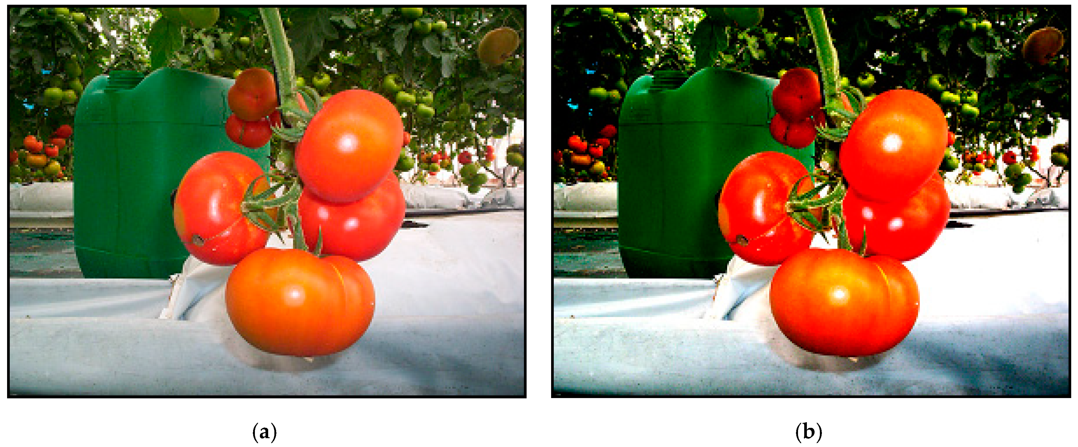 Applsci 10 05887 g016a Applsci 10 05887 g016a