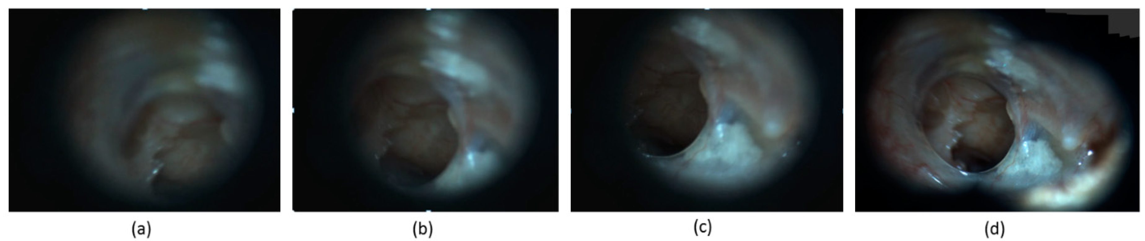 Applsci 10 05894 g005