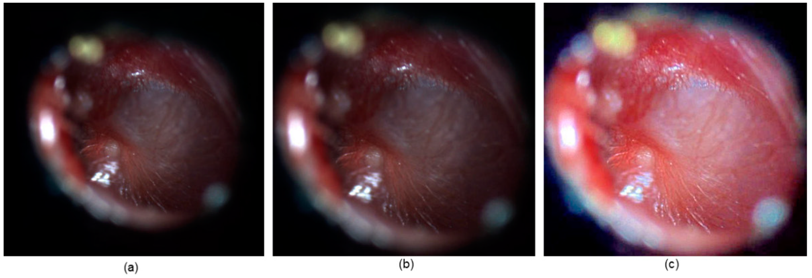 Applsci 10 05894 g006