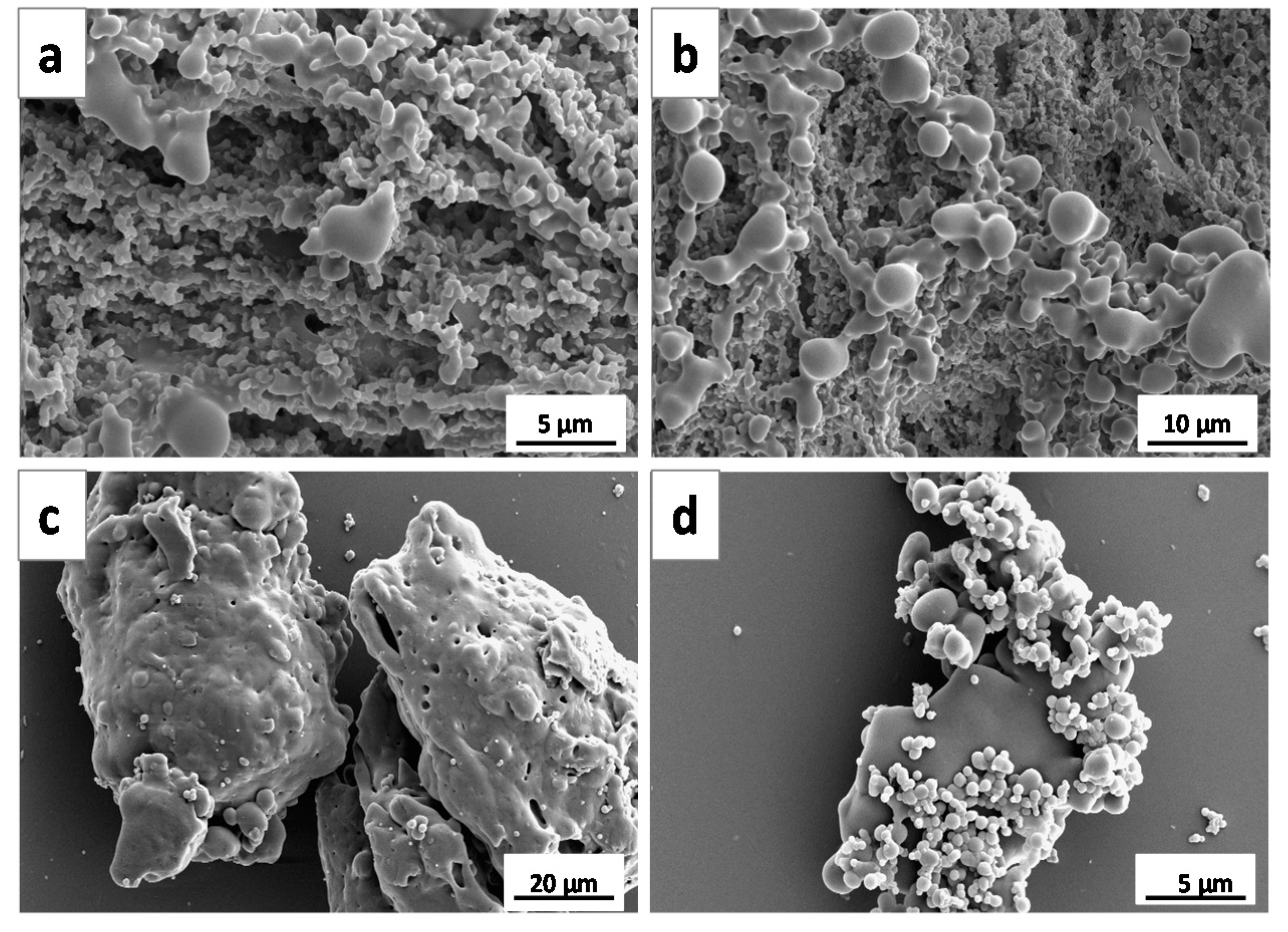 Applsci 10 05960 g001 Applsci 10 05960 g001