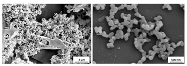 Applsci 10 05960 i006 Applsci 10 05960 i006