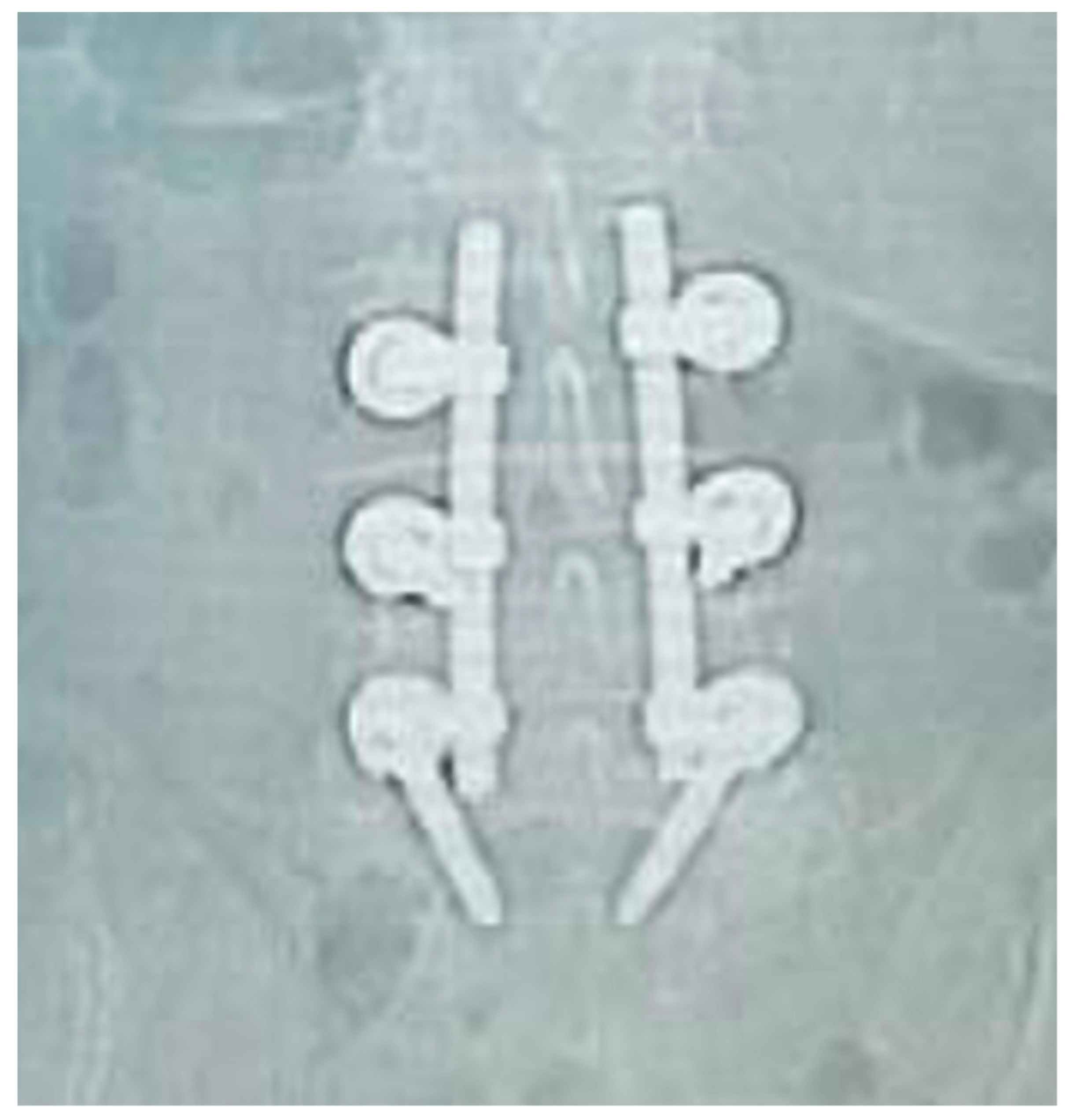 Applsci 10 05977 g007