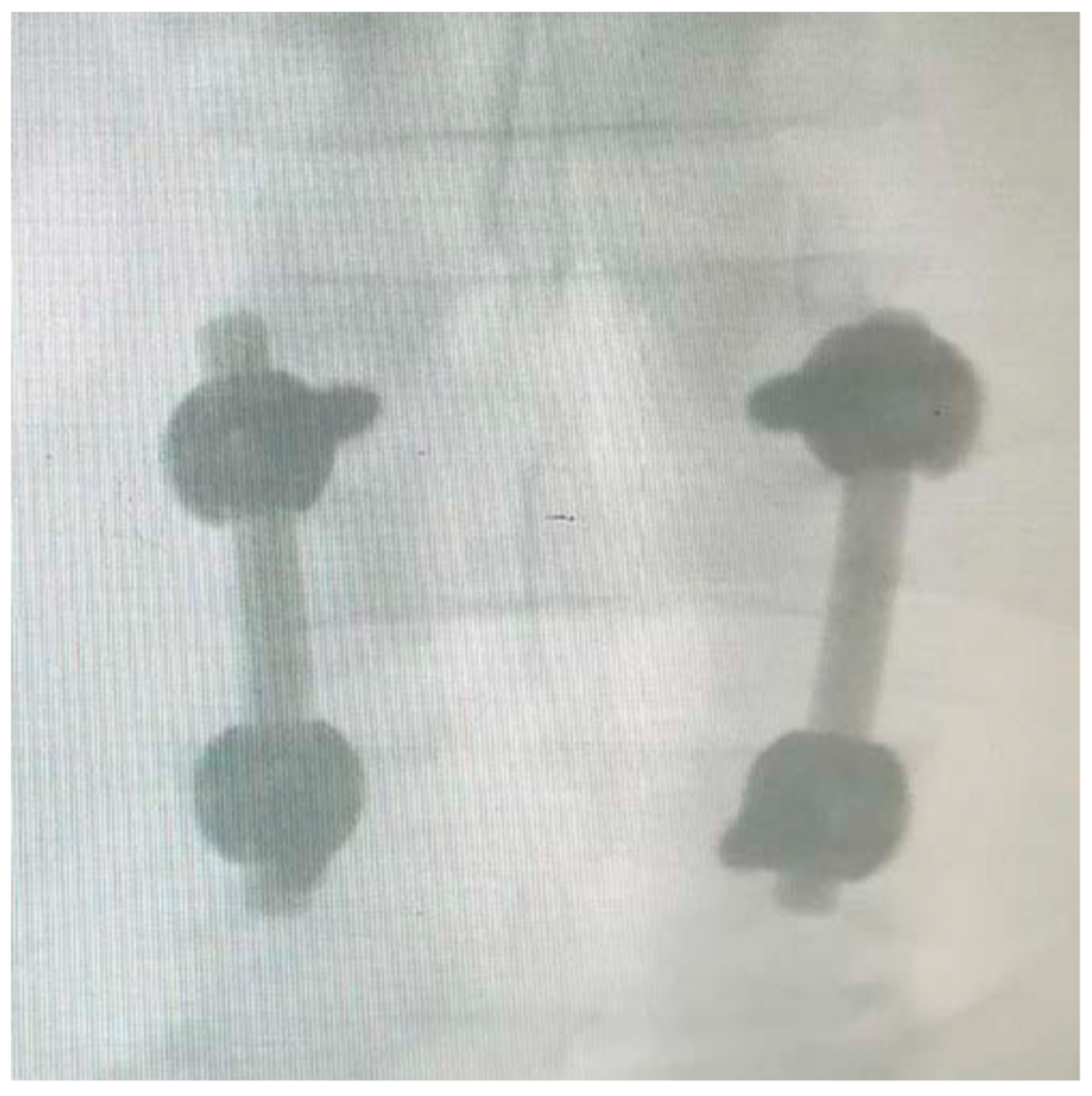 Applsci 10 05977 g009