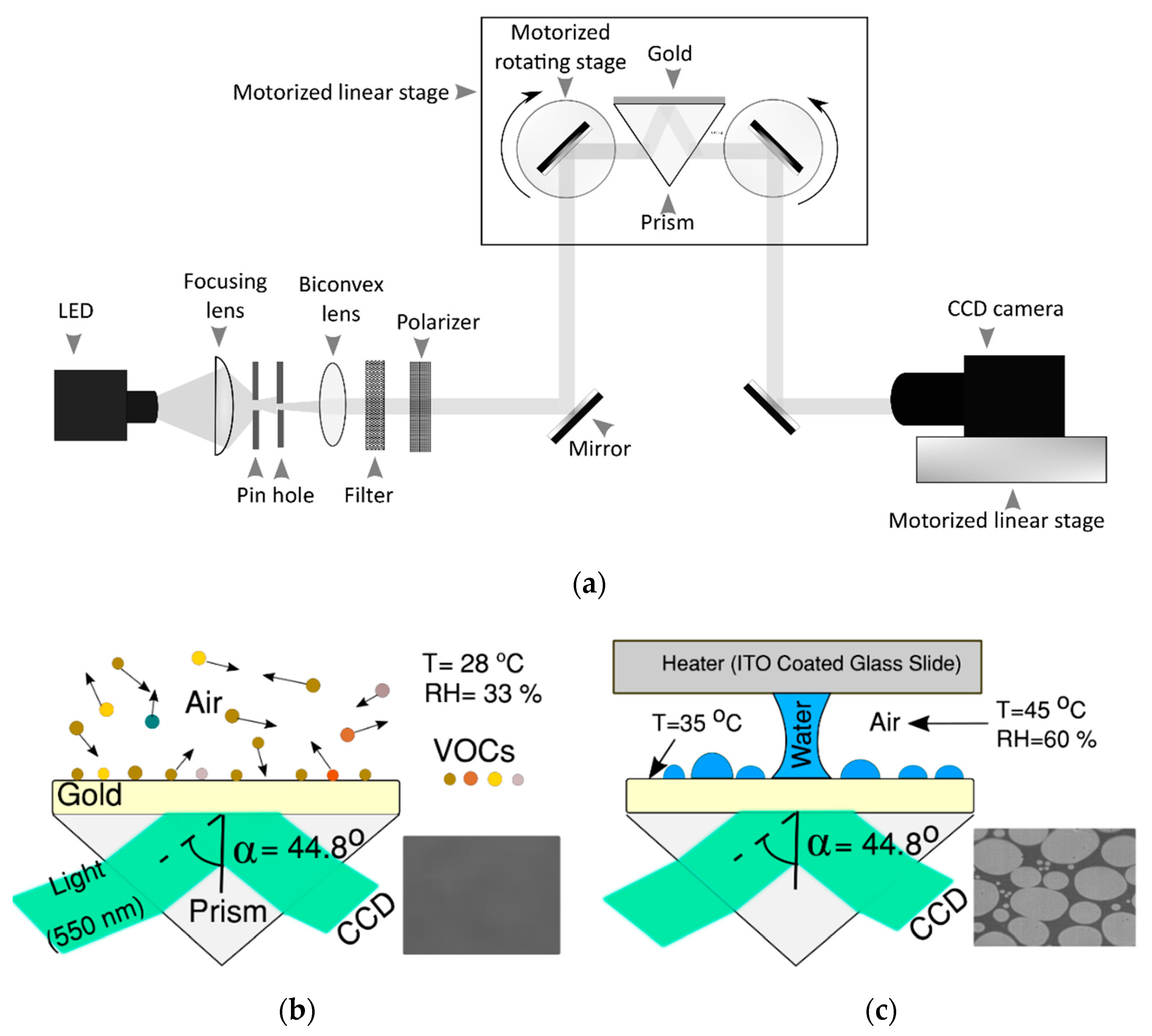 Applsci 10 05981 g001