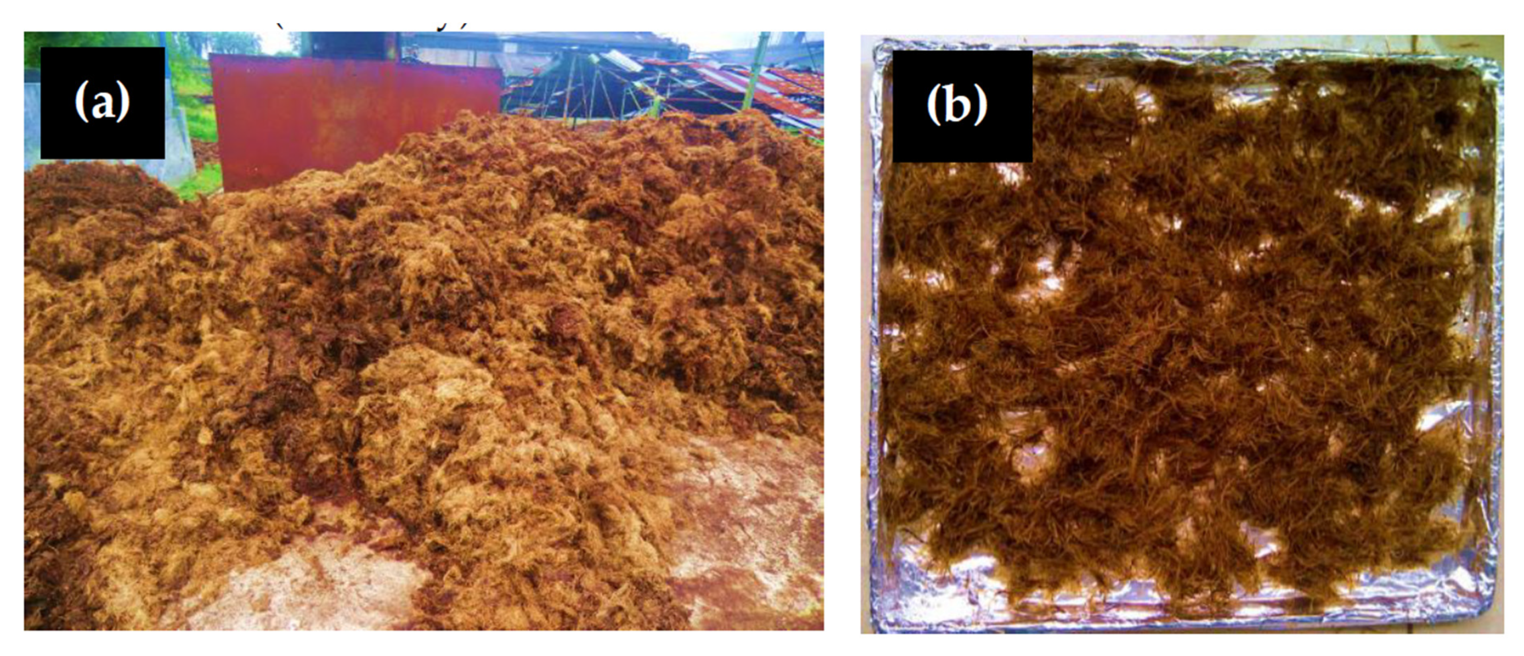 Applsci 10 05987 g001 Applsci 10 05987 g001