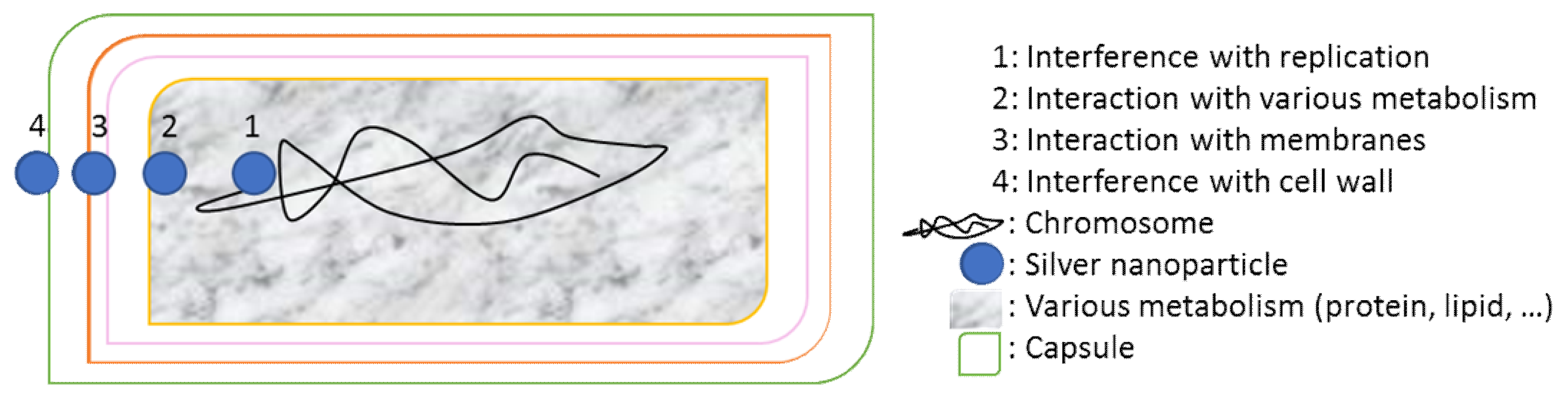 Applsci 10 06040 g002 Applsci 10 06040 g002