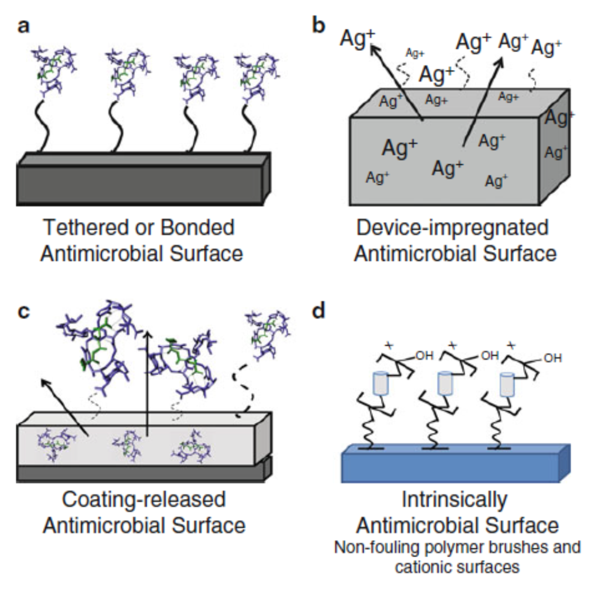 Applsci 10 06040 g004 Applsci 10 06040 g004