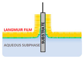 Applsci 10 06064 i028 Applsci 10 06064 i028