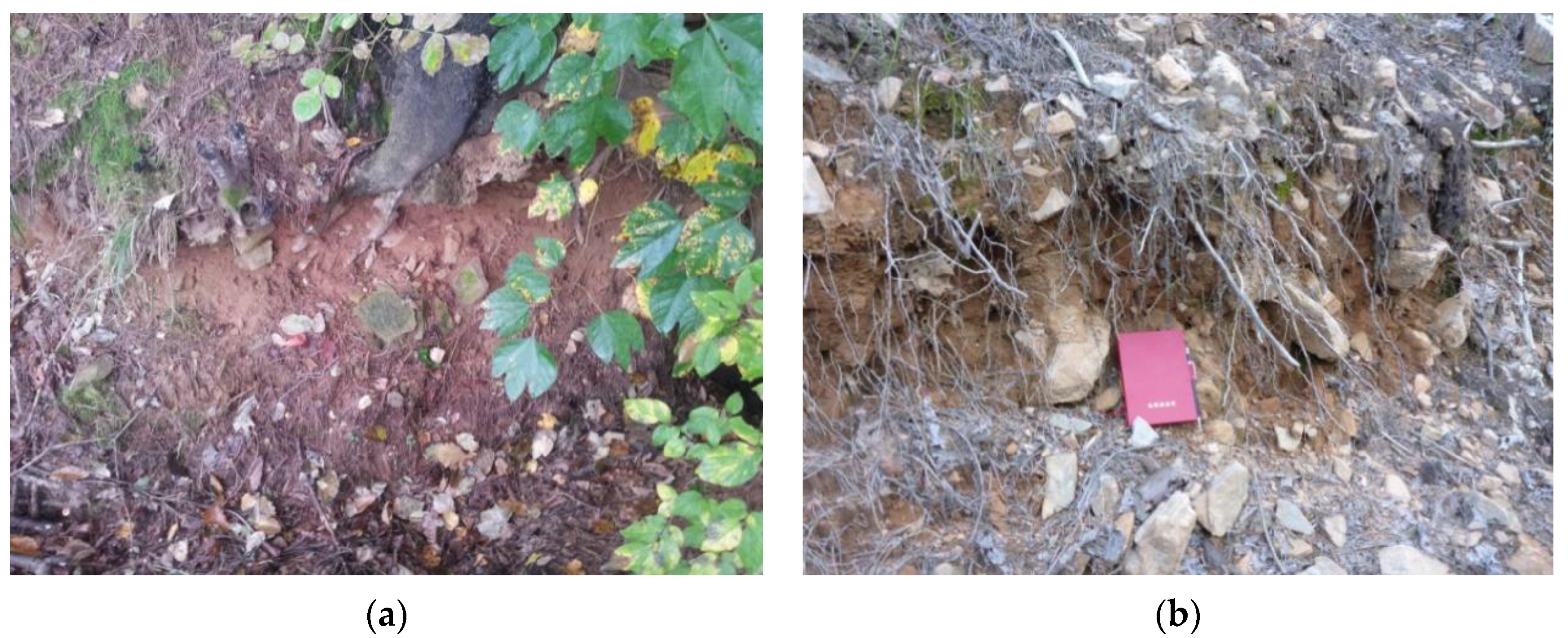 Applsci 10 06079 g004