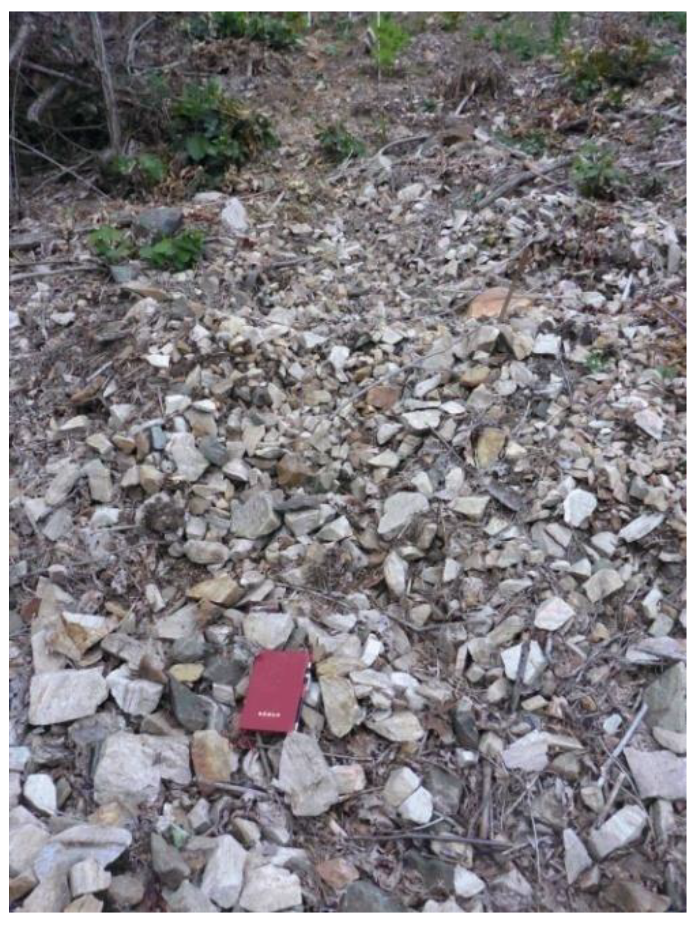 Applsci 10 06079 g005