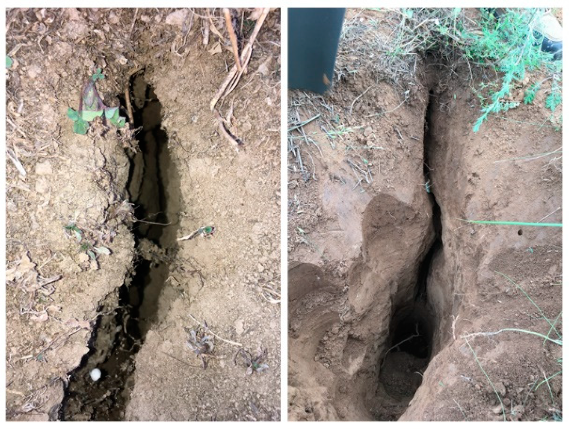 Applsci 10 06080 g006