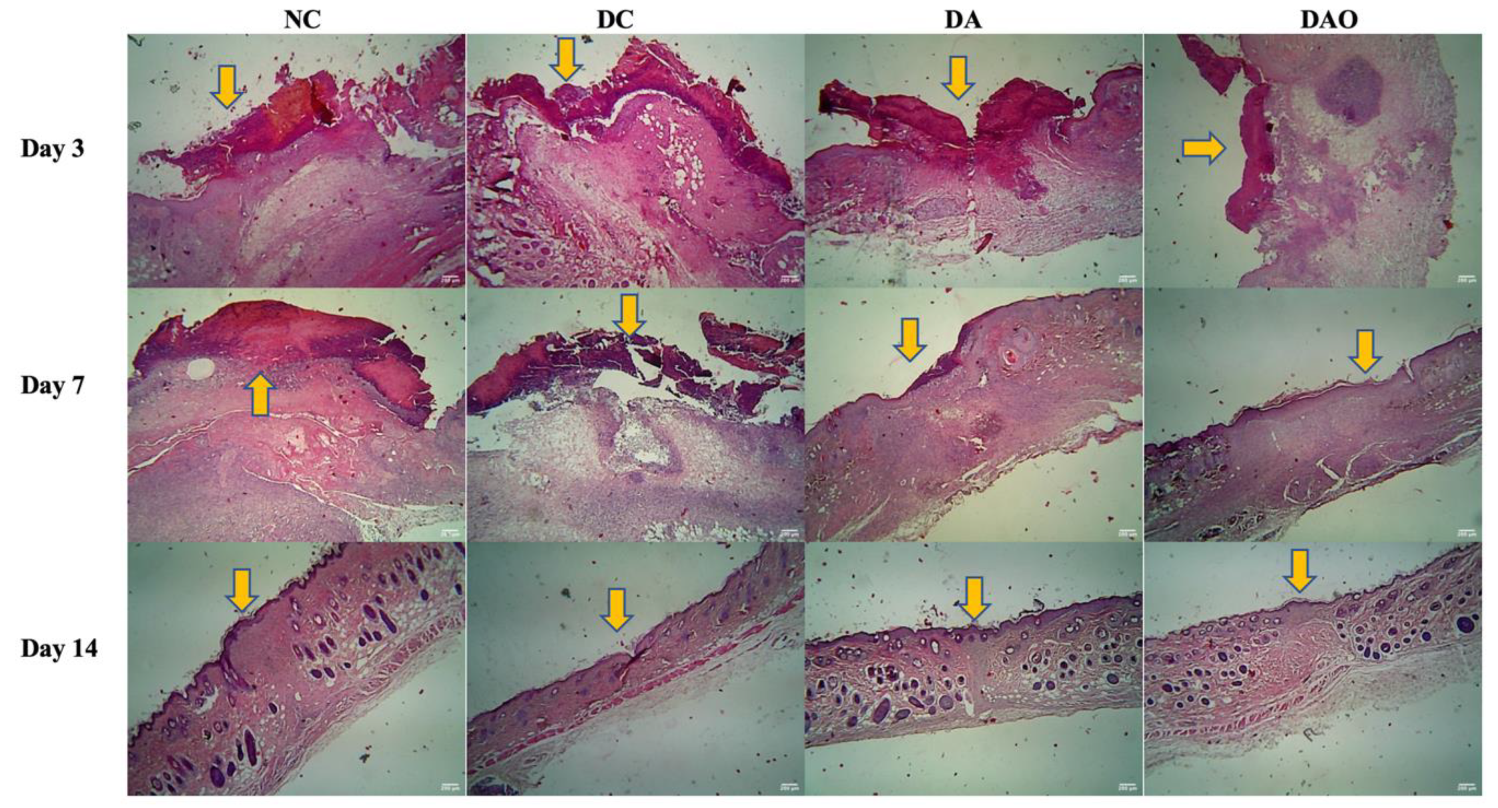 Applsci 10 06082 g003