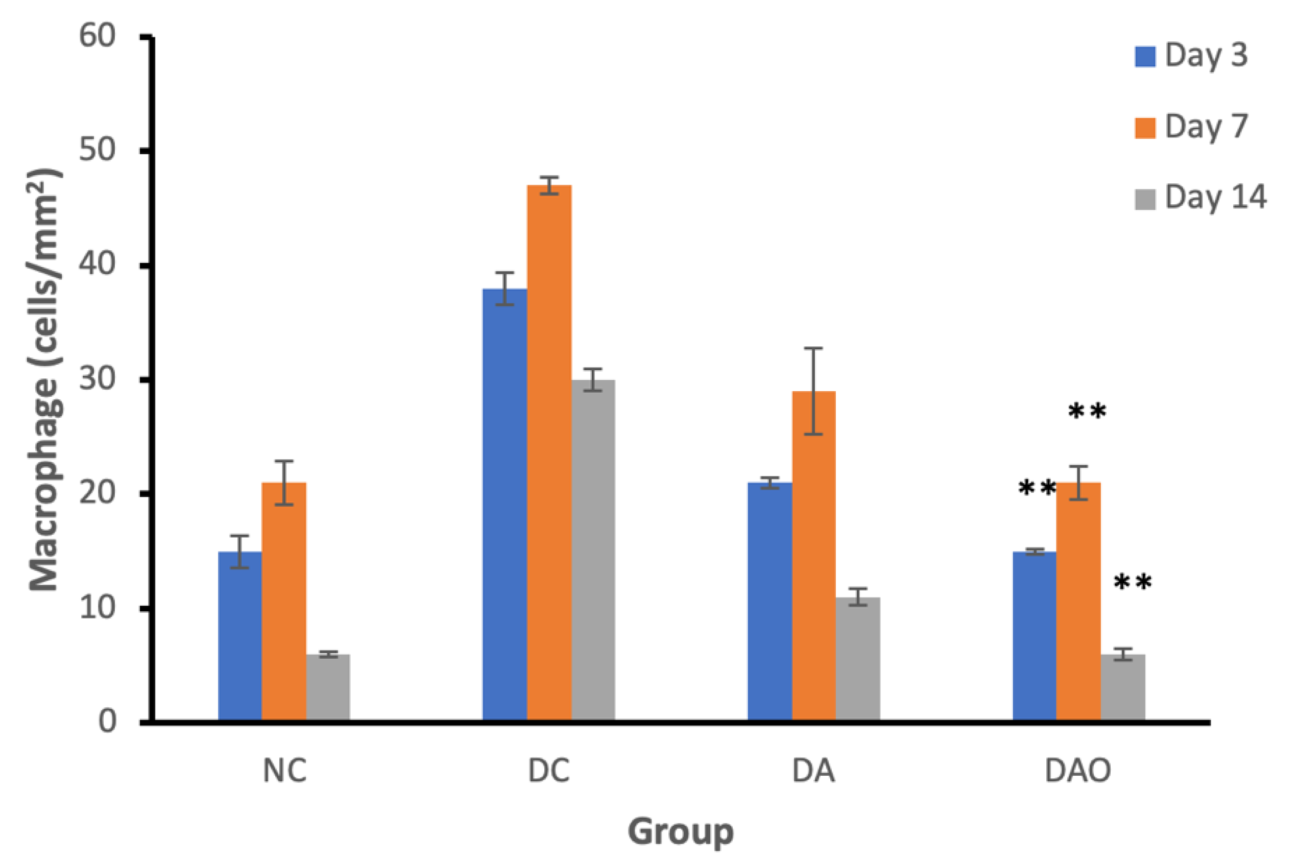 Applsci 10 06082 g007