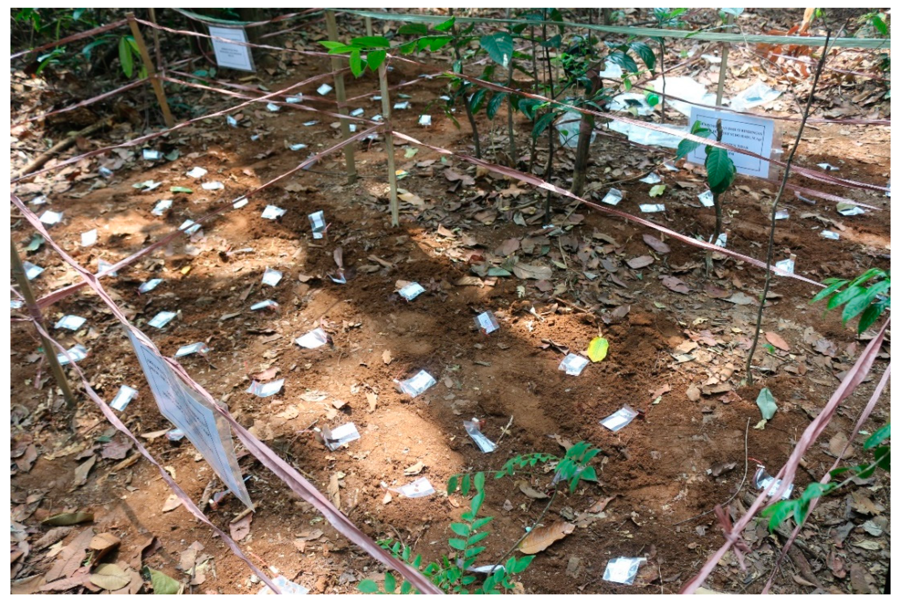 Applsci 10 06101 g001