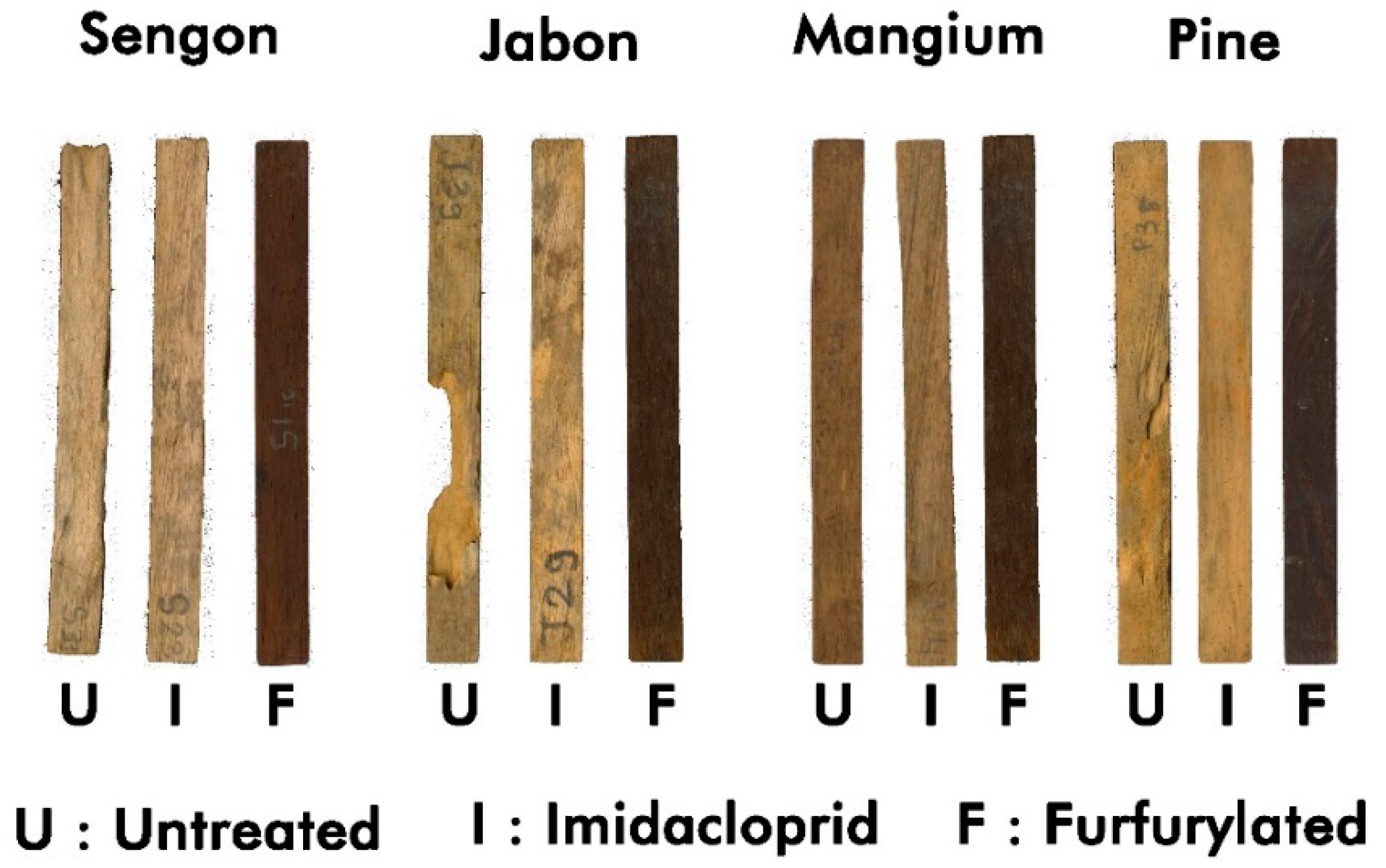 Applsci 10 06101 g003