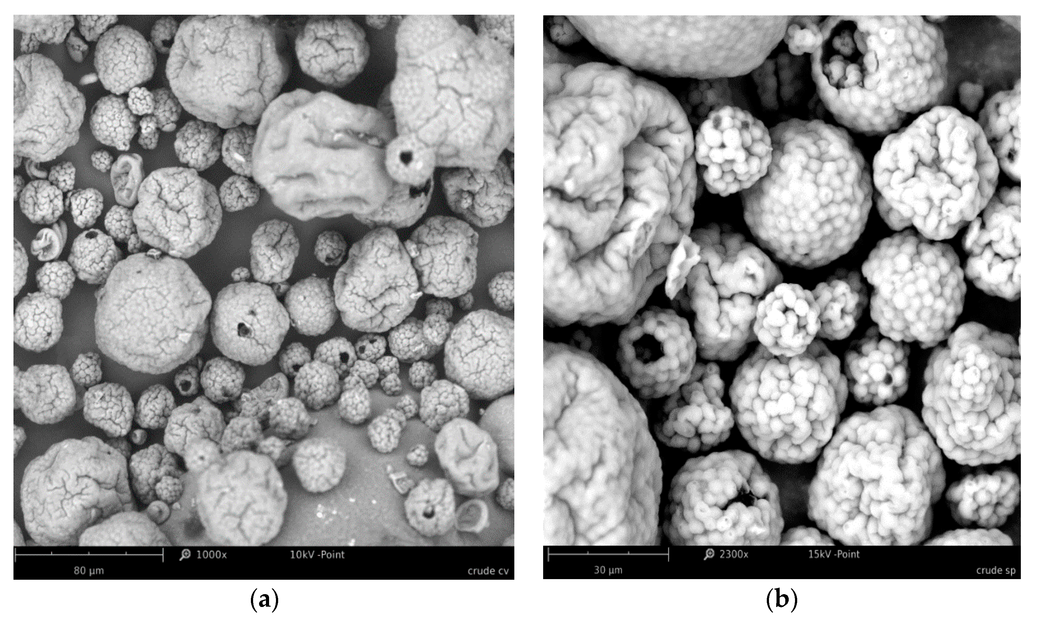 Applsci 10 06103 g0a1 Applsci 10 06103 g0a1