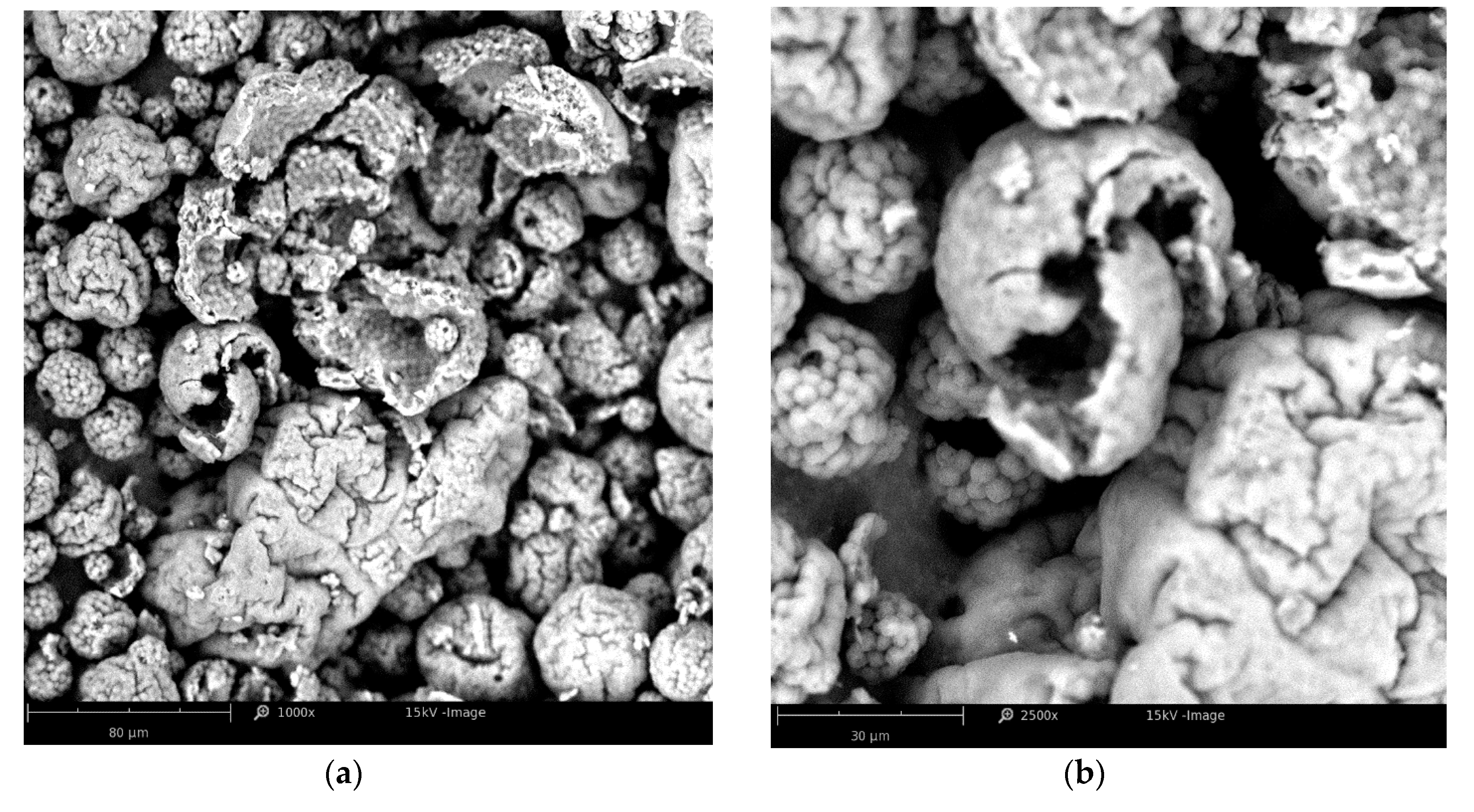 Applsci 10 06103 g0a3 Applsci 10 06103 g0a3