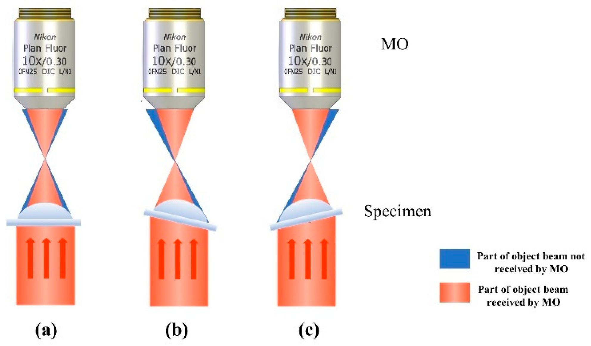 Applsci 10 06110 g002 Applsci 10 06110 g002