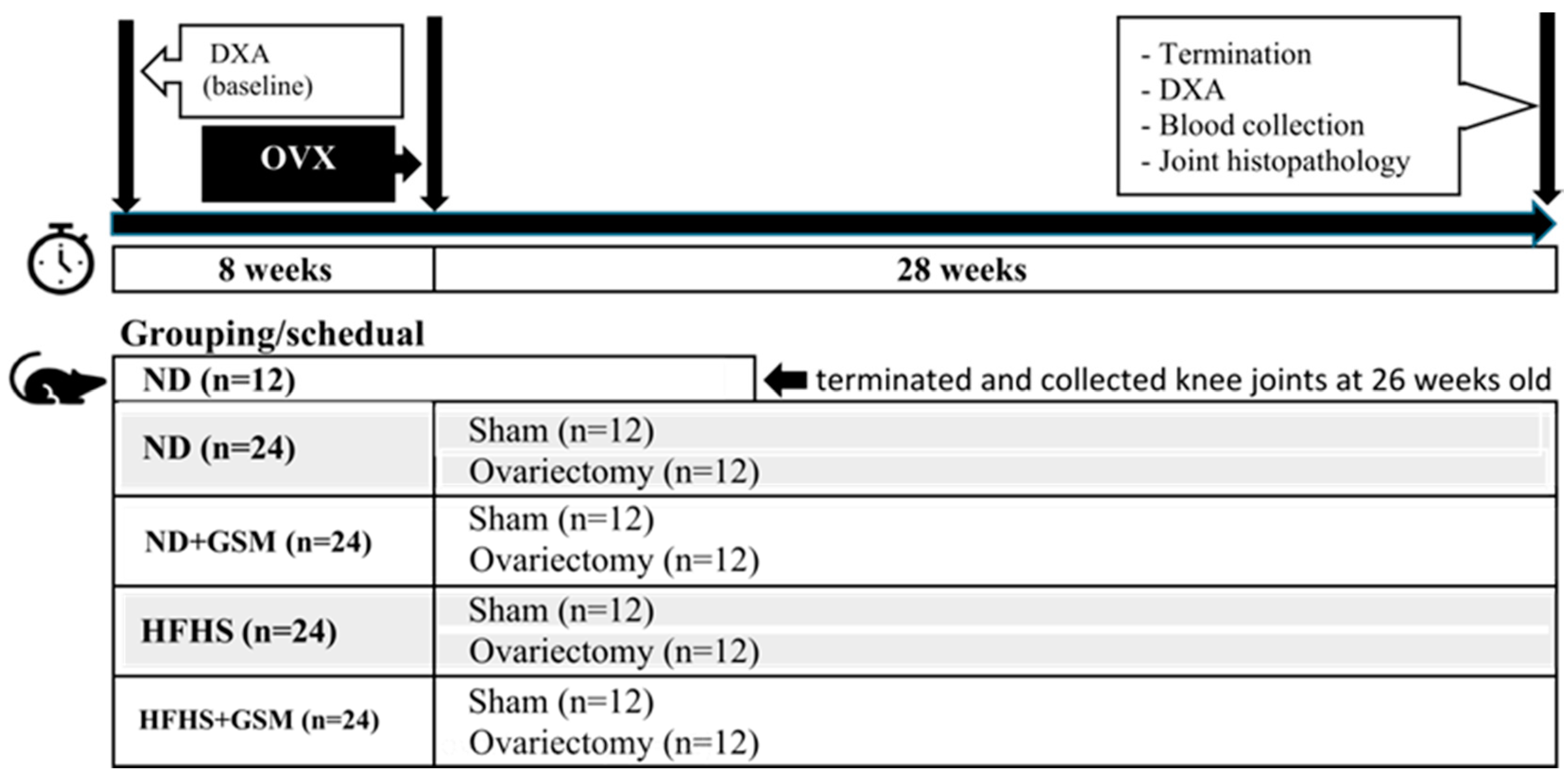 Applied Sciences Free Full Text Effects Of Greenshell Mussel Perna Canaliculus Intake On Pathological Markers Of Multiple Phenotypes Of Osteoarthritis In Rats Html