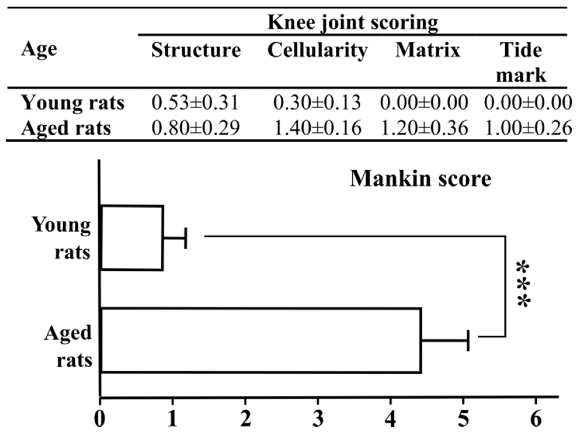 Applsci 10 06131 g005 Applsci 10 06131 g005