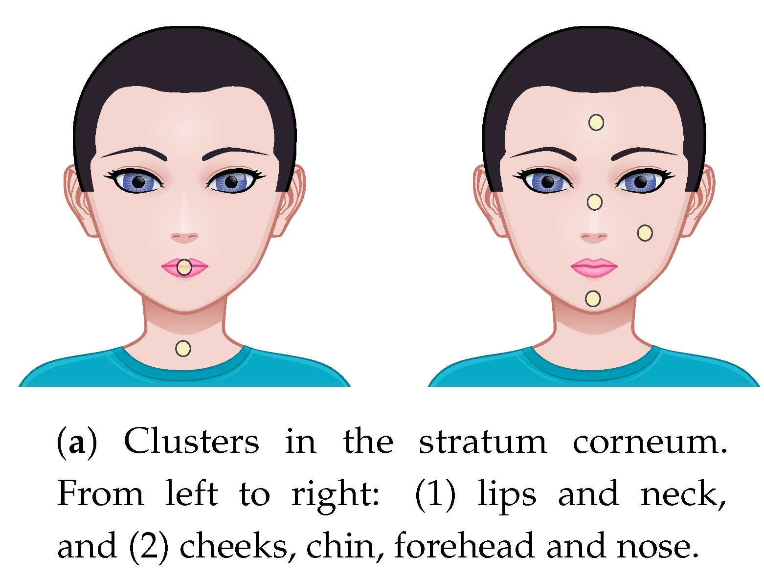 Applsci 10 06139 g009a Applsci 10 06139 g009a