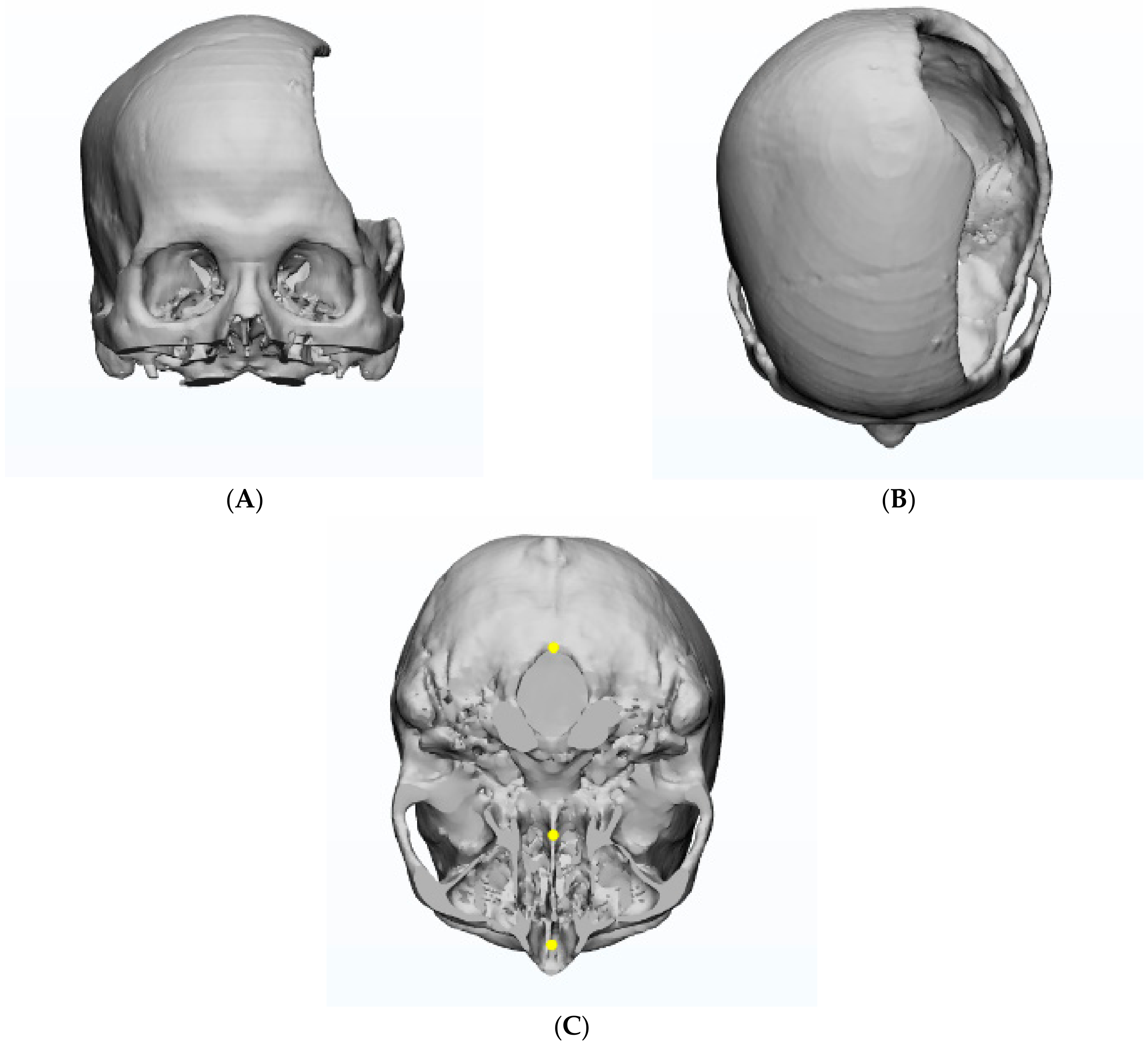 Applsci 10 06141 g001