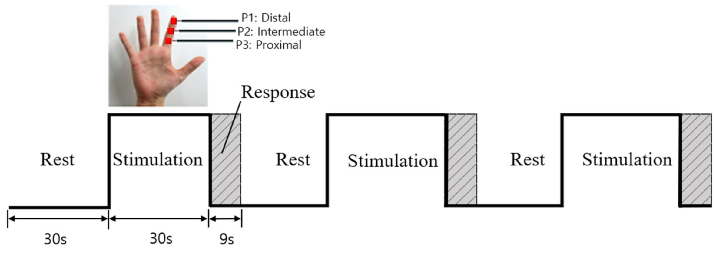 Applsci 10 06142 g002