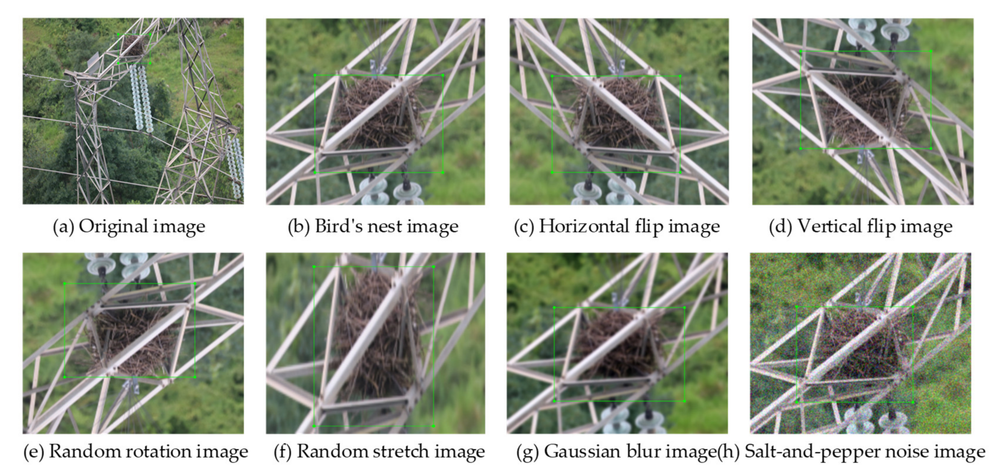 Applsci 10 06147 g007 550