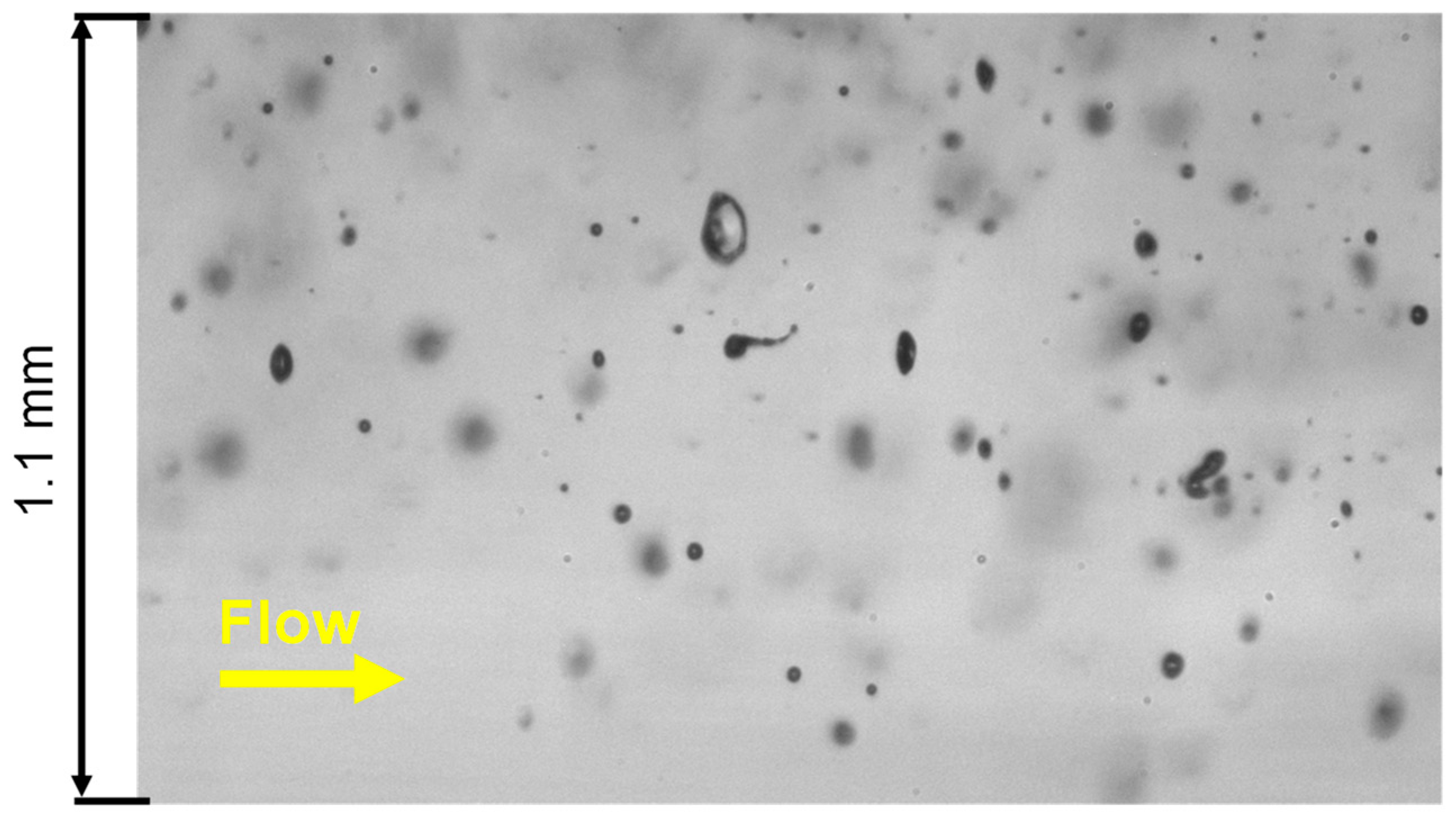 Applsci 10 06149 g003