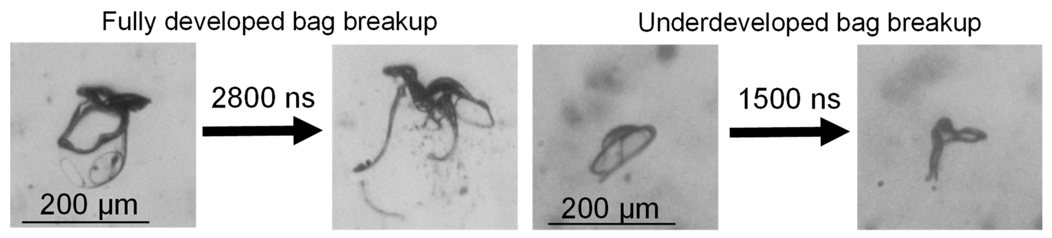 Applsci 10 06149 g009