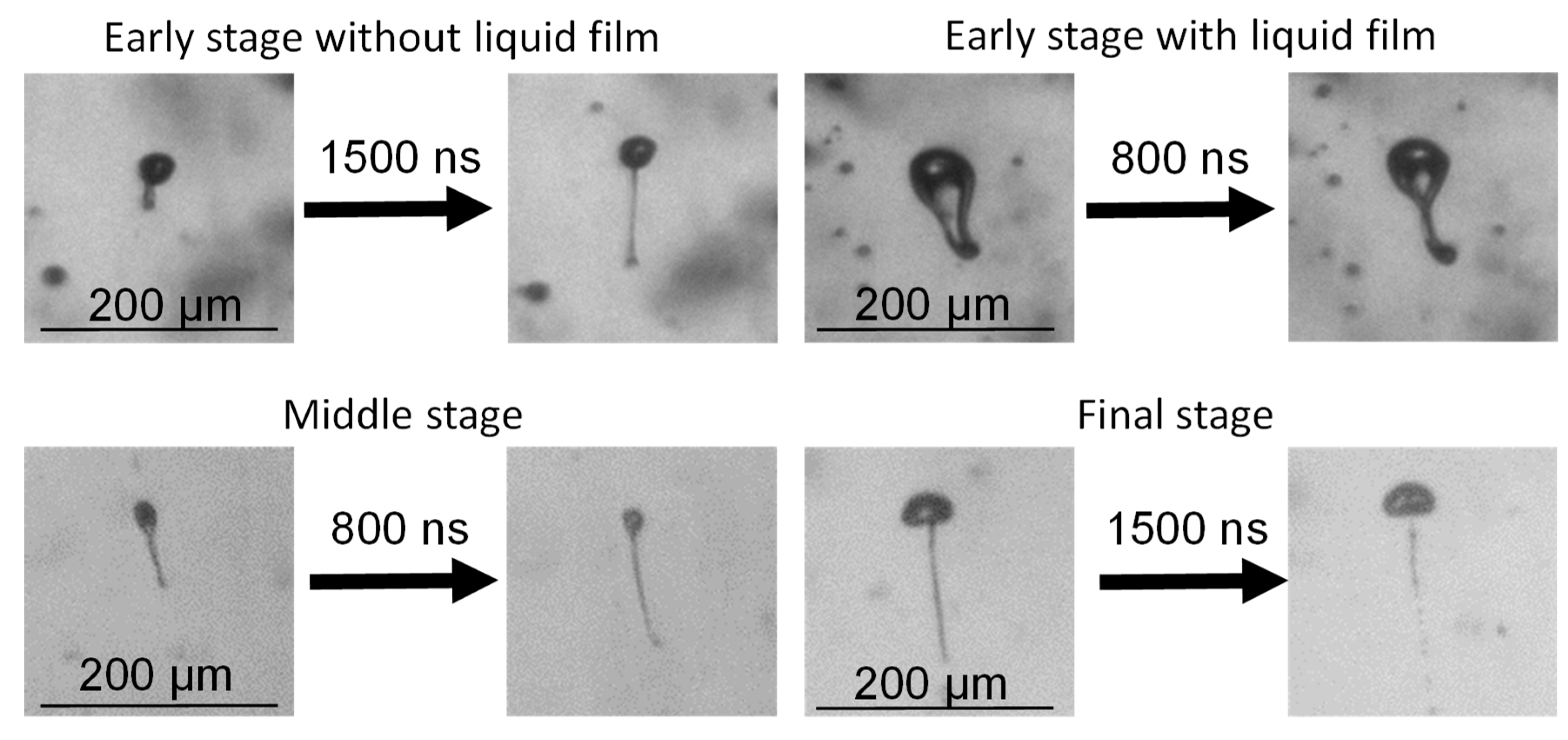 Applsci 10 06149 g010