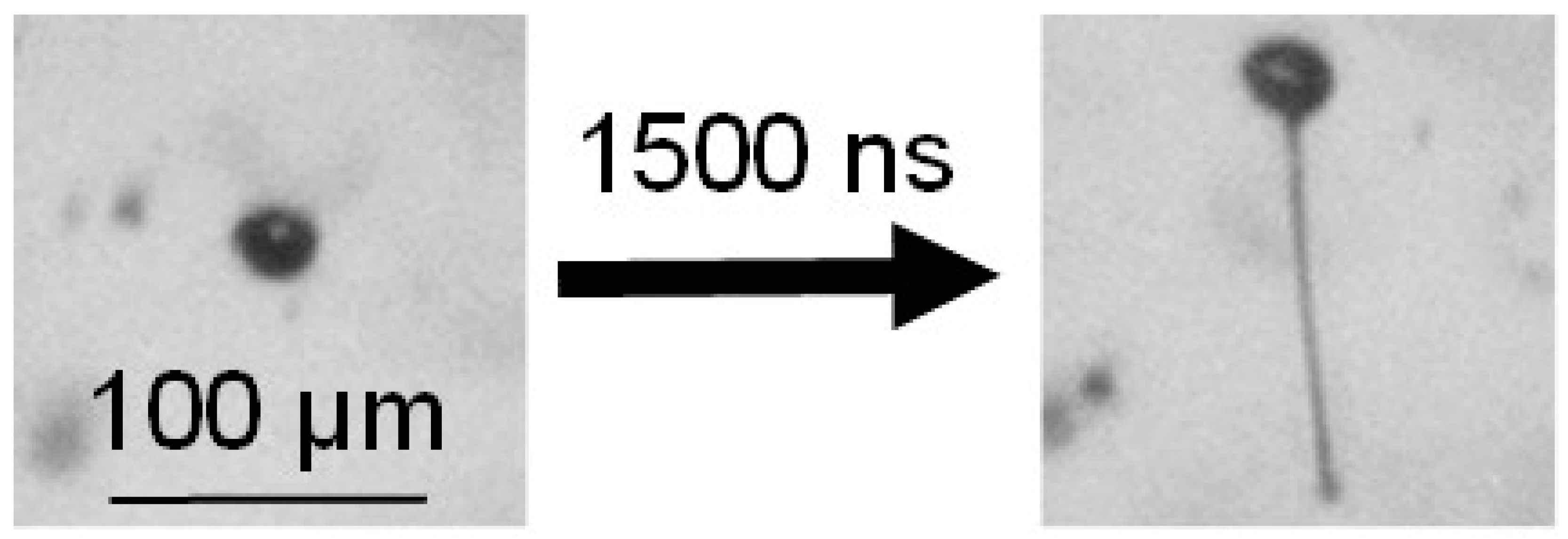 Applsci 10 06149 g012