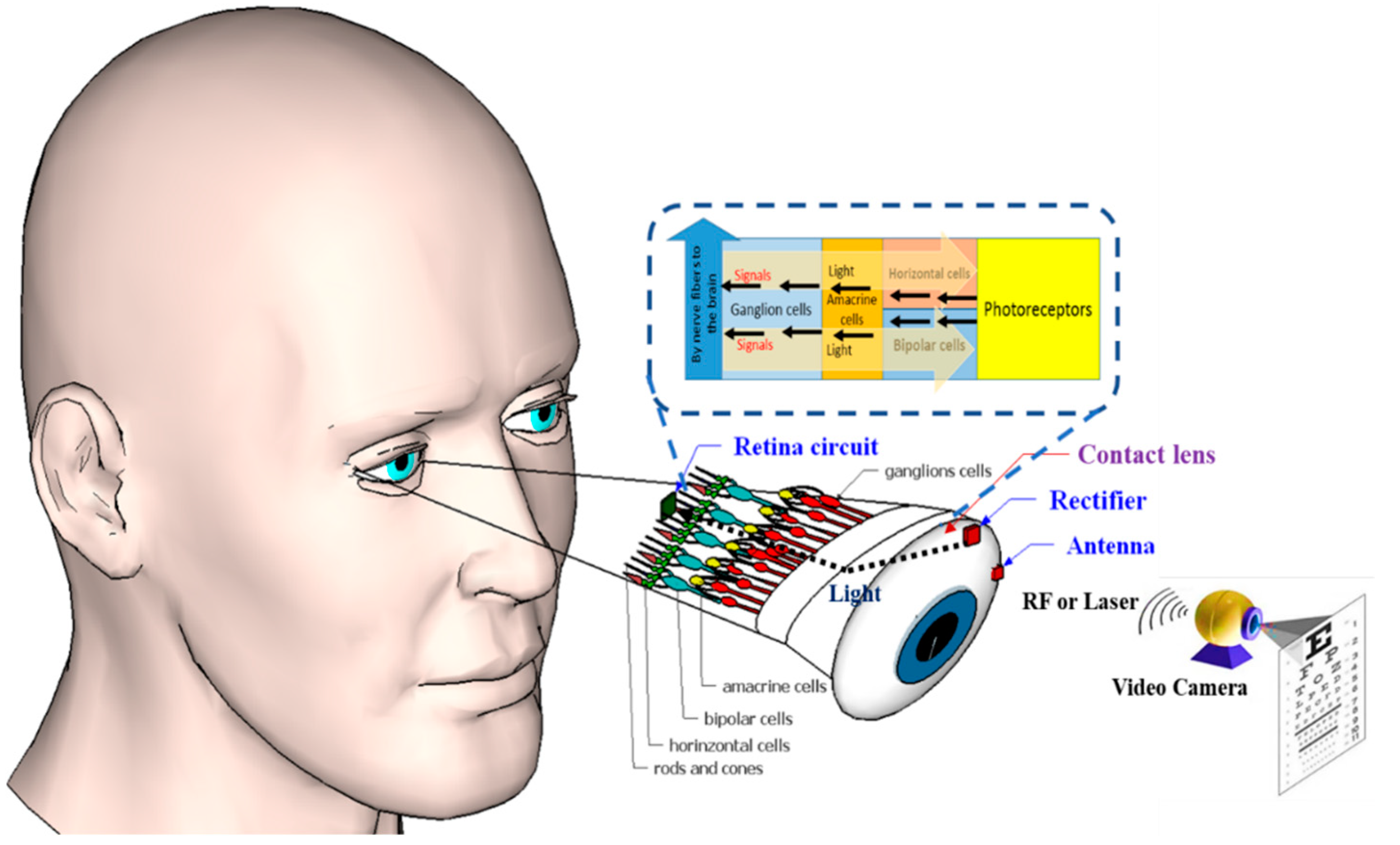 Applsci 10 06154 g001