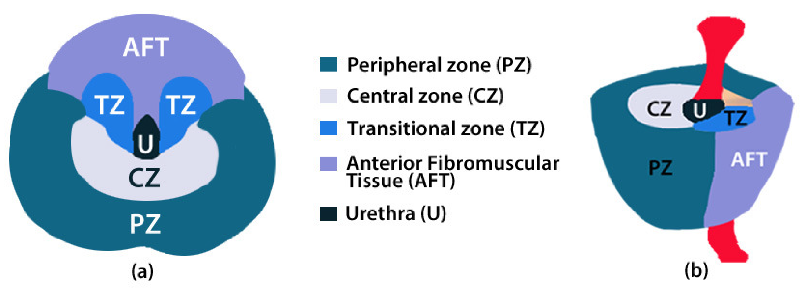 Applsci 10 06163 g001