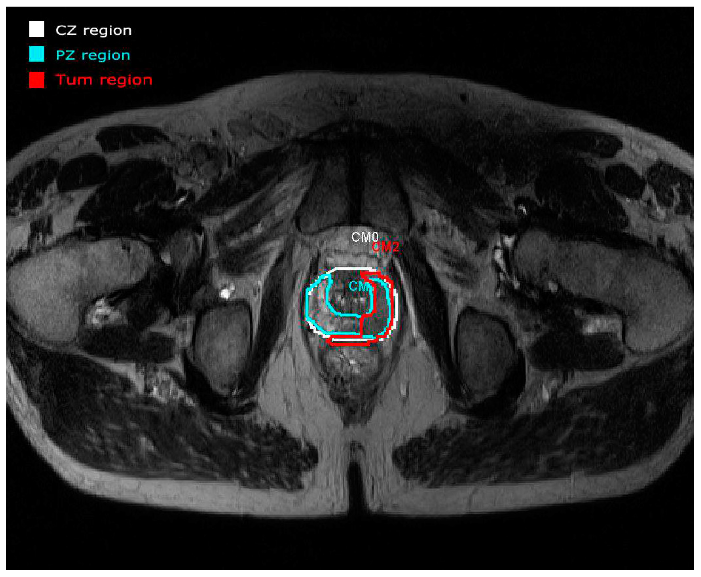 Applsci 10 06163 g002
