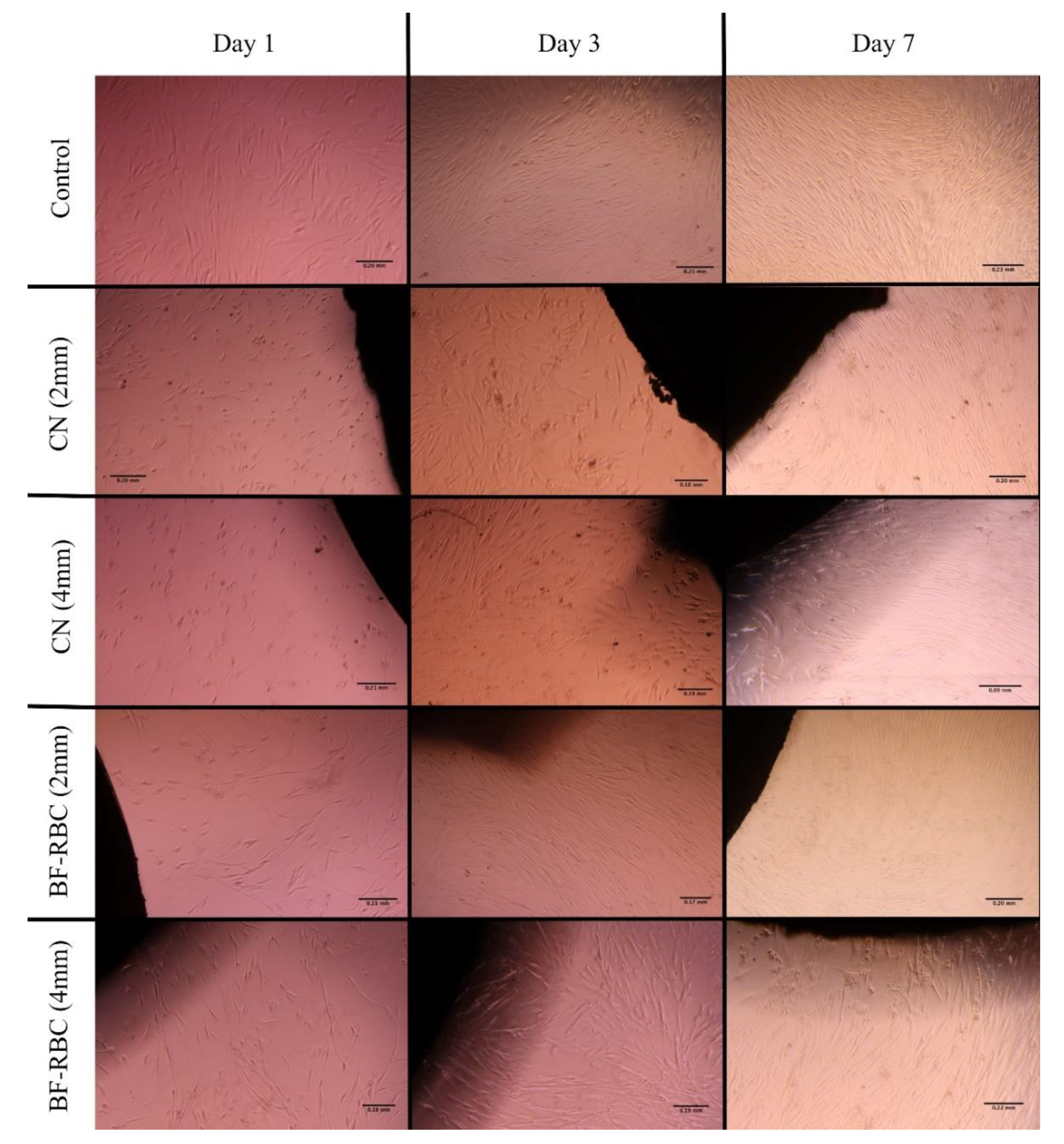 Applsci 10 06175 g005 Applsci 10 06175 g005