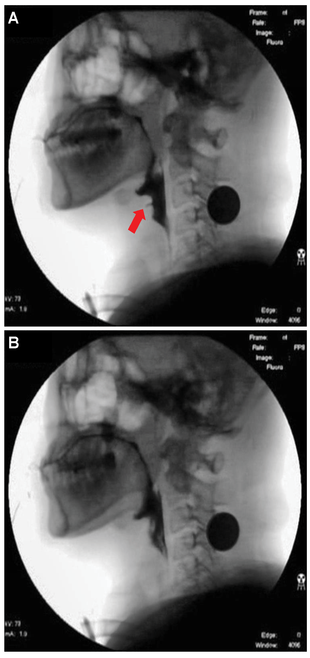 Applsci 10 06179 g005 Applsci 10 06179 g005