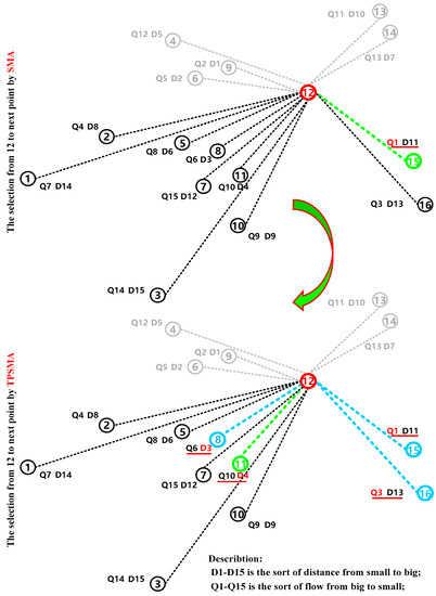 A Two-Way Parallel Slime Mold Algorithm by Flow and Distance for the ...