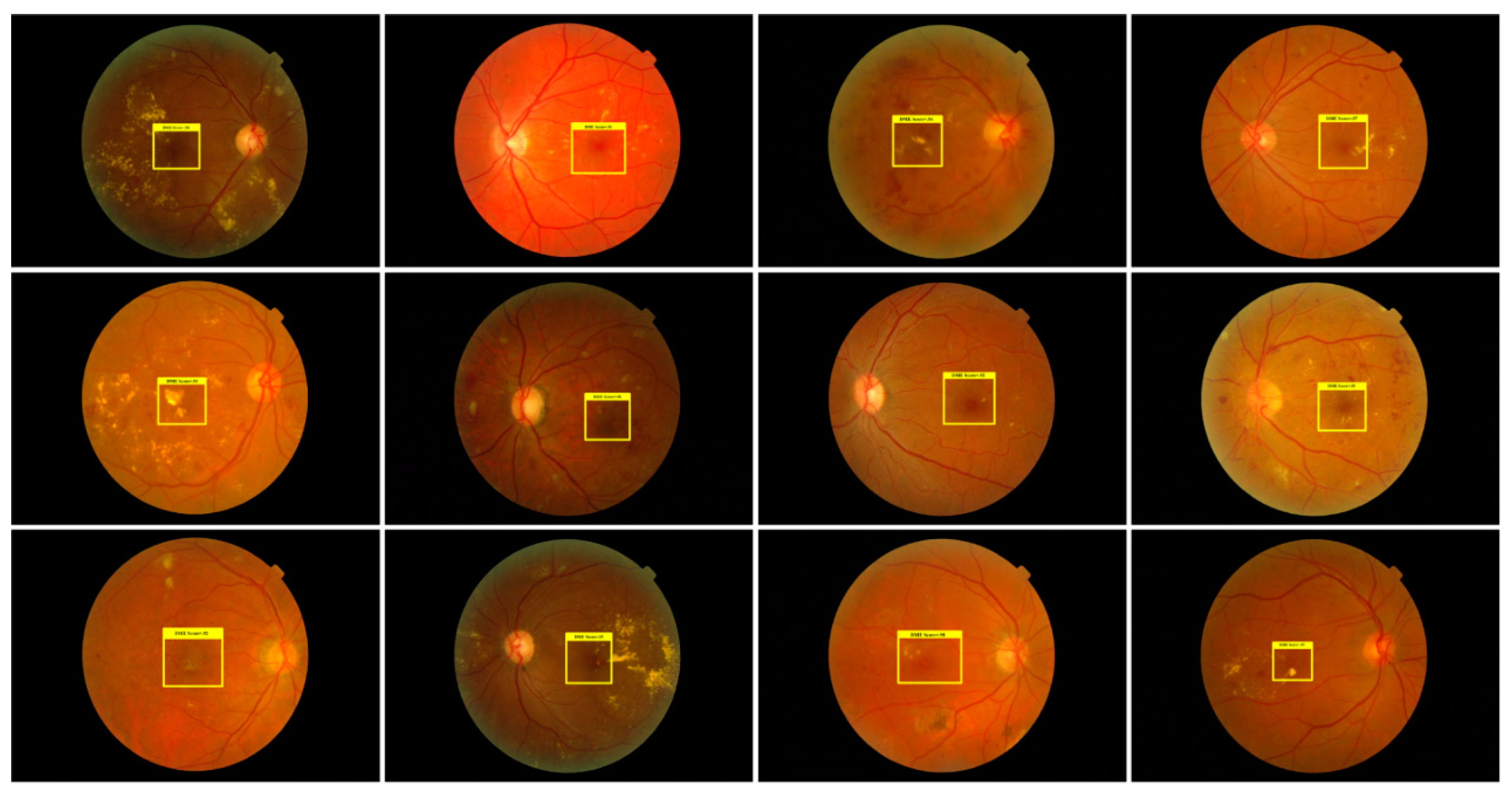 Applsci 10 06185 g004 Applsci 10 06185 g004