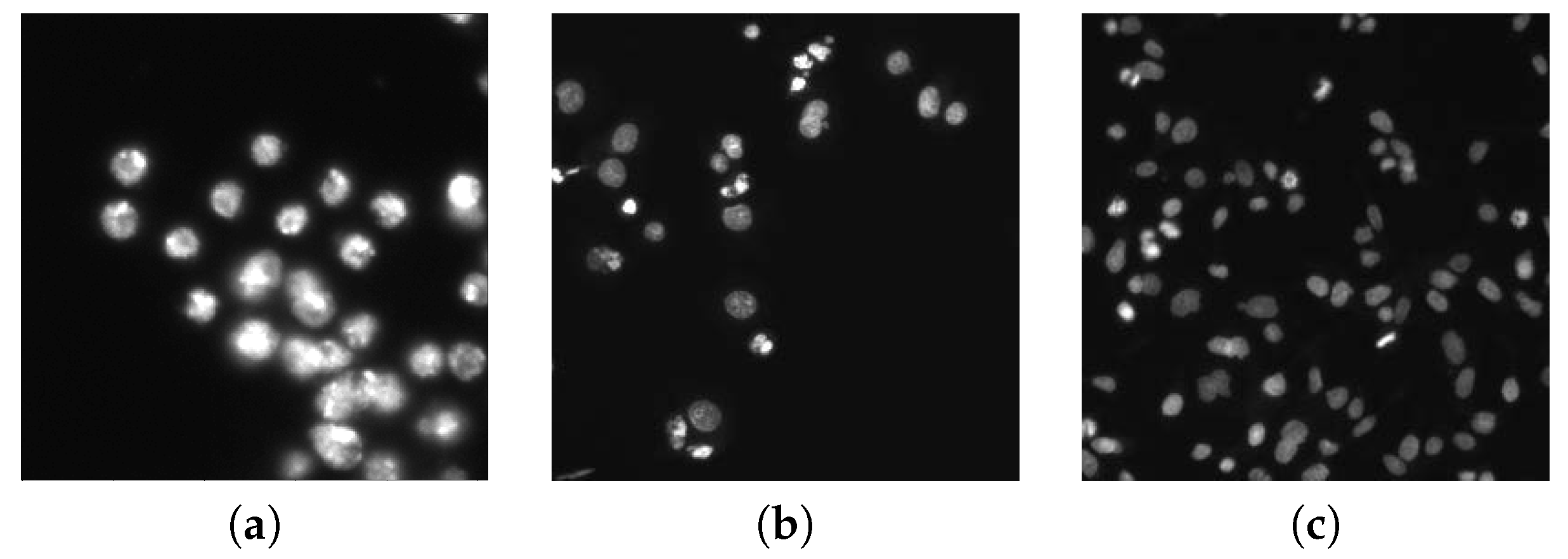 Applsci 10 06187 g002