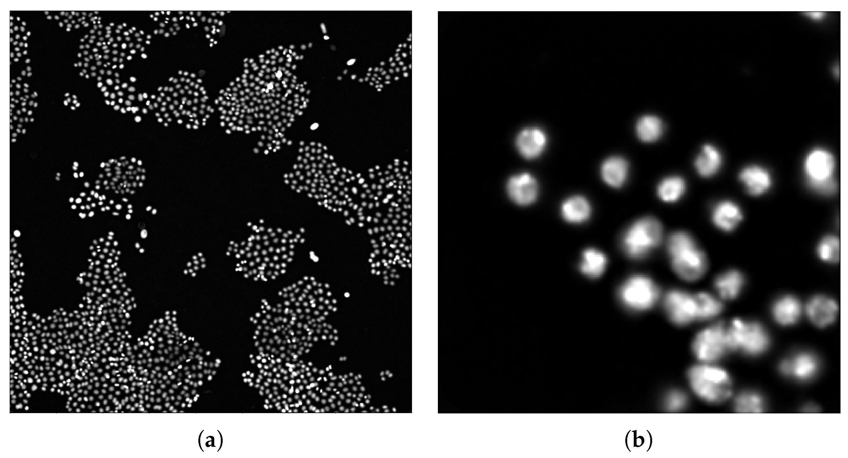 Applsci 10 06187 g005