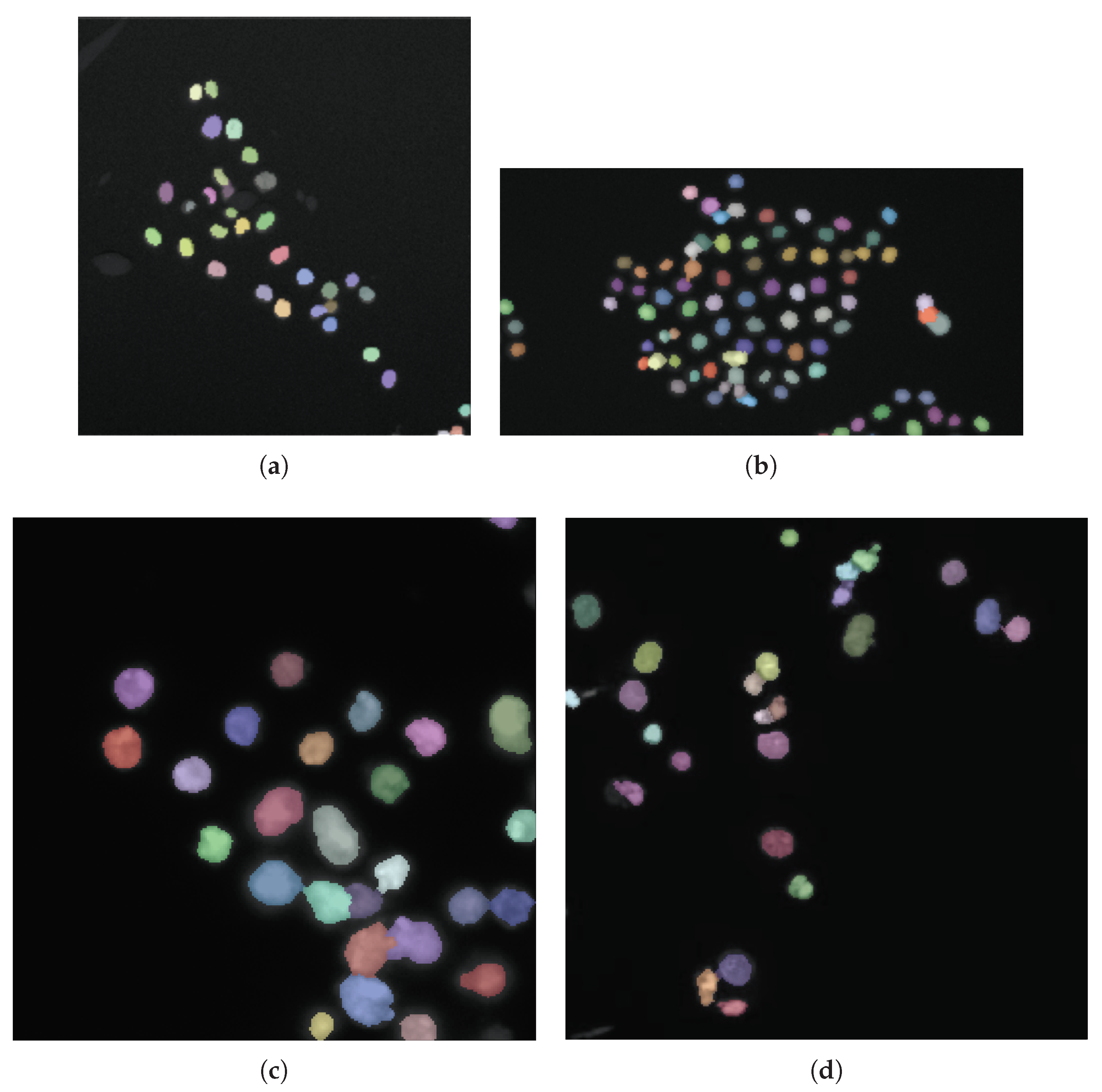 Applsci 10 06187 g007