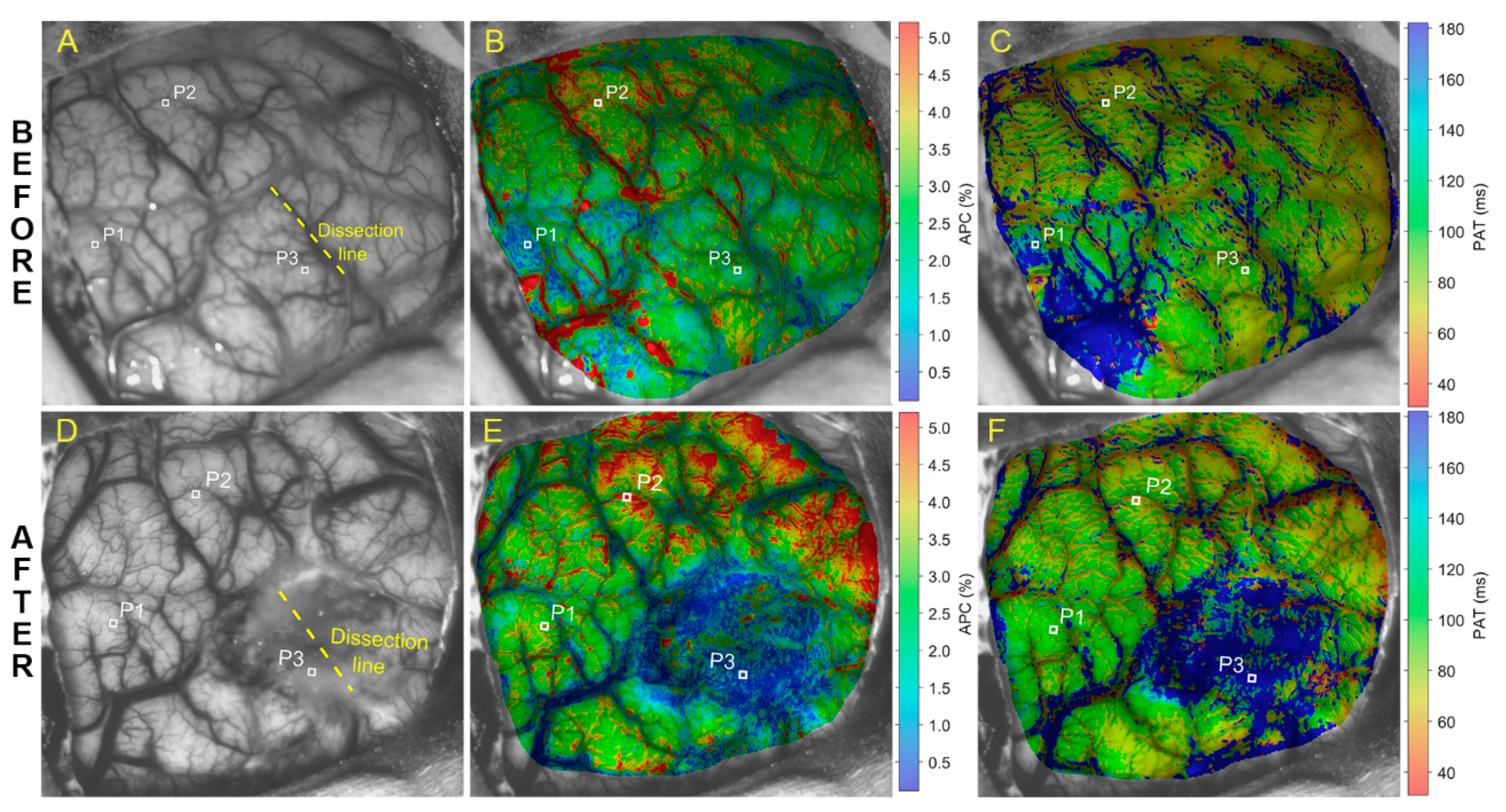Applsci 10 06192 g001