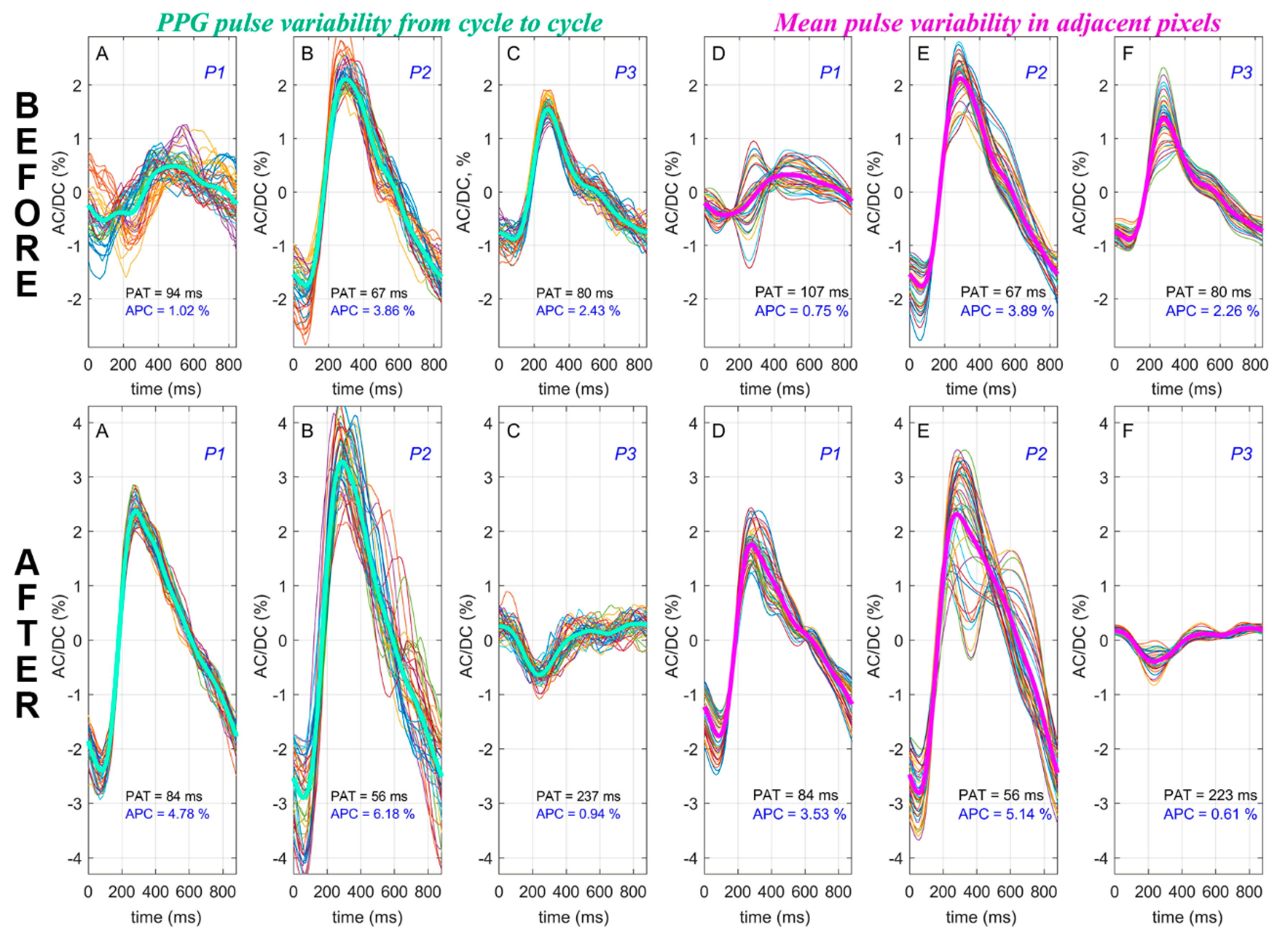 Applsci 10 06192 g002