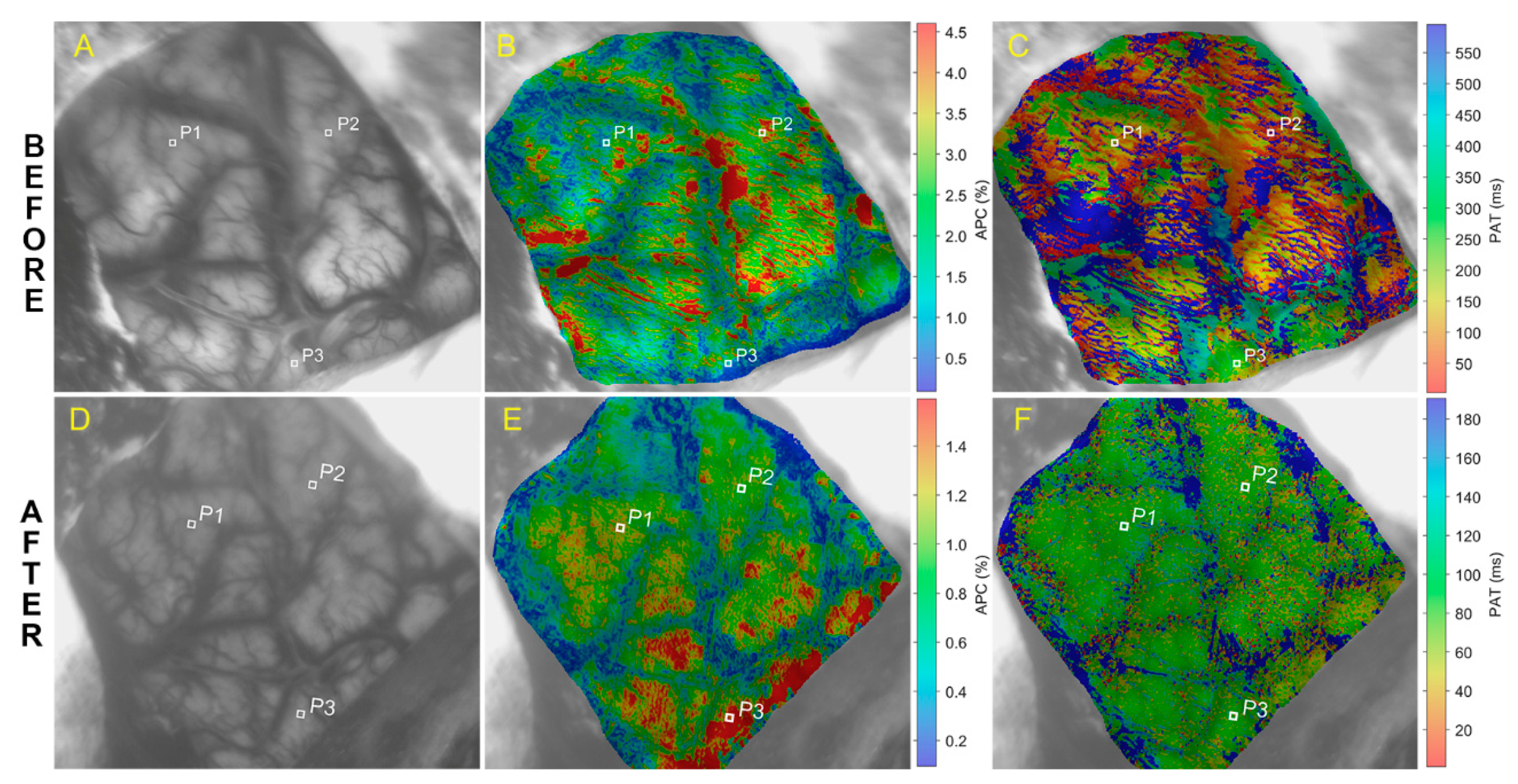 Applsci 10 06192 g003