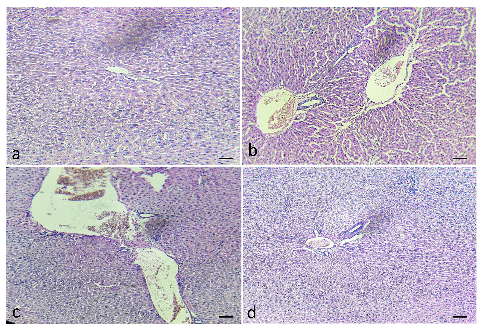 Applsci 10 06200 g011
